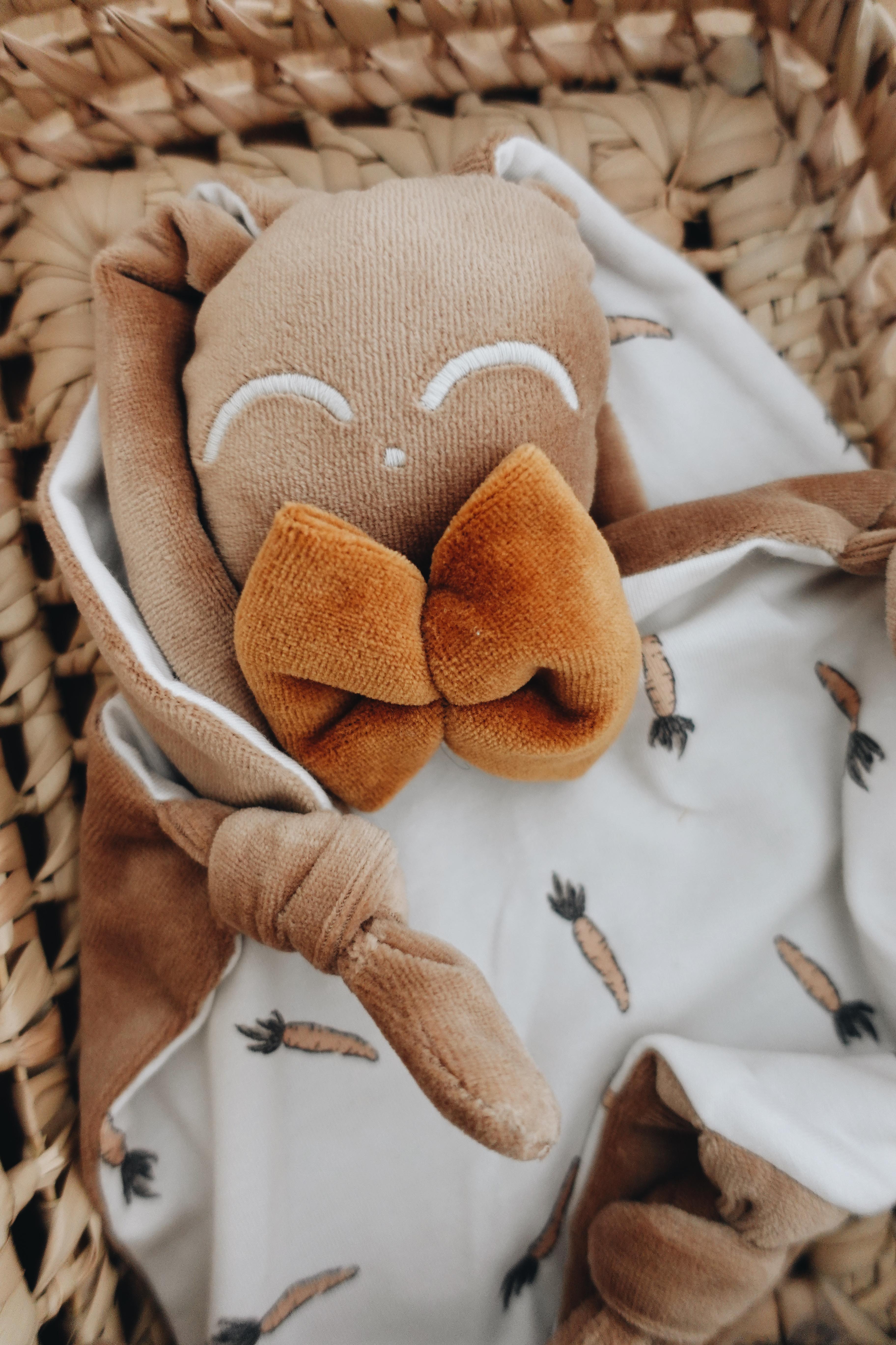 PROTOTYPE - Doudou Velours Chouchou - Carrots