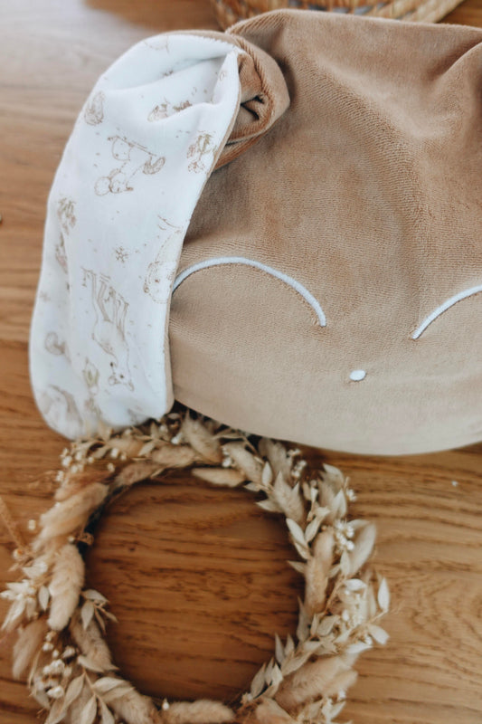 Petit Coussin Velours - Robin