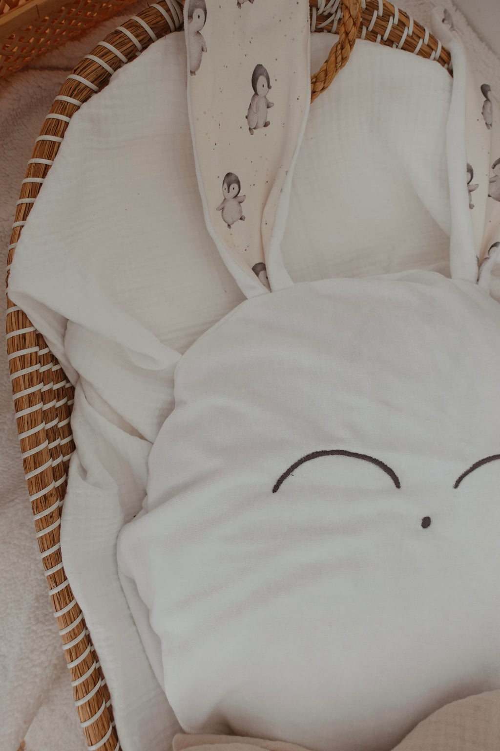 Petit Coussin Velours - Pinguins