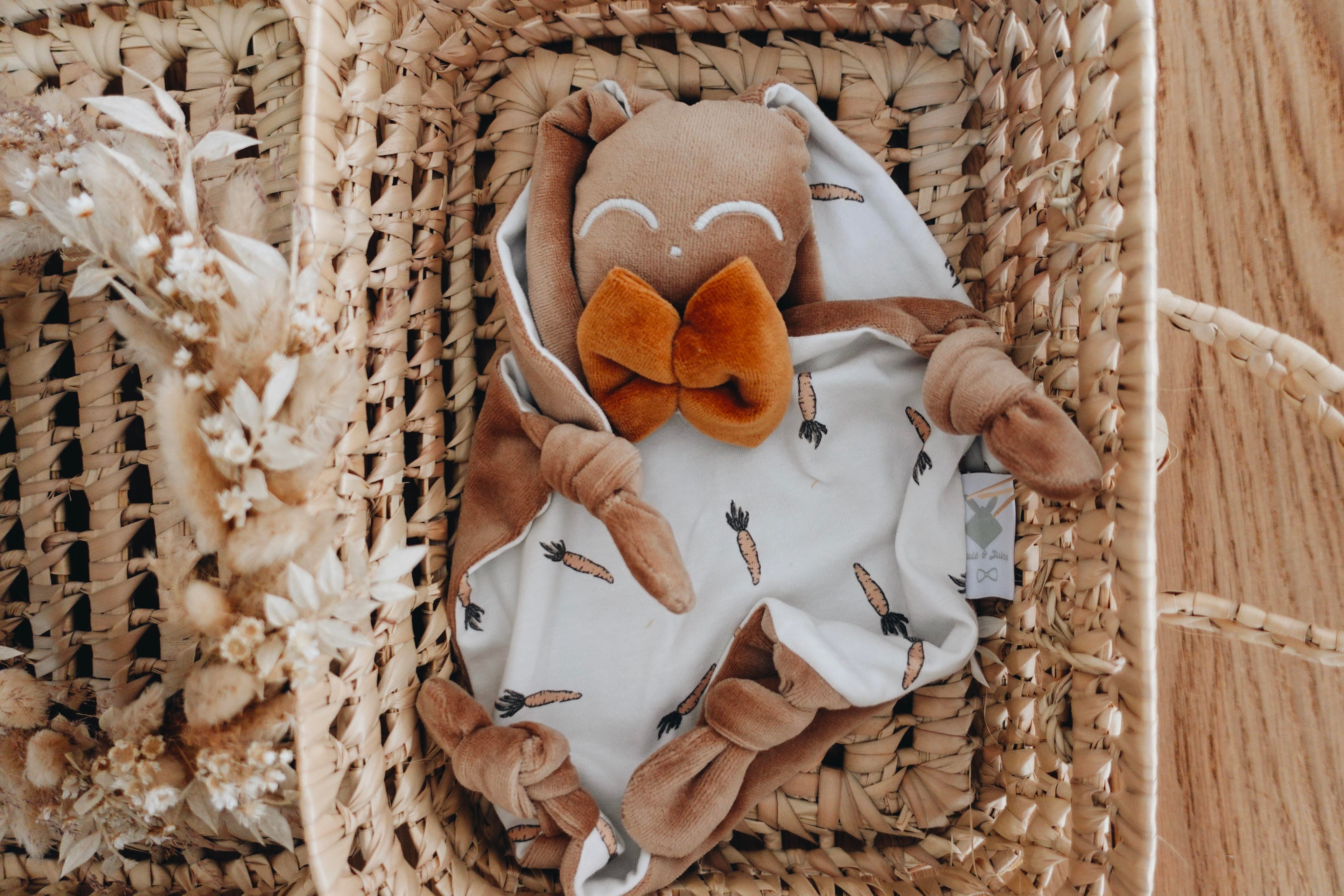 PROTOTYPE - Doudou Velours Chouchou - Carrots