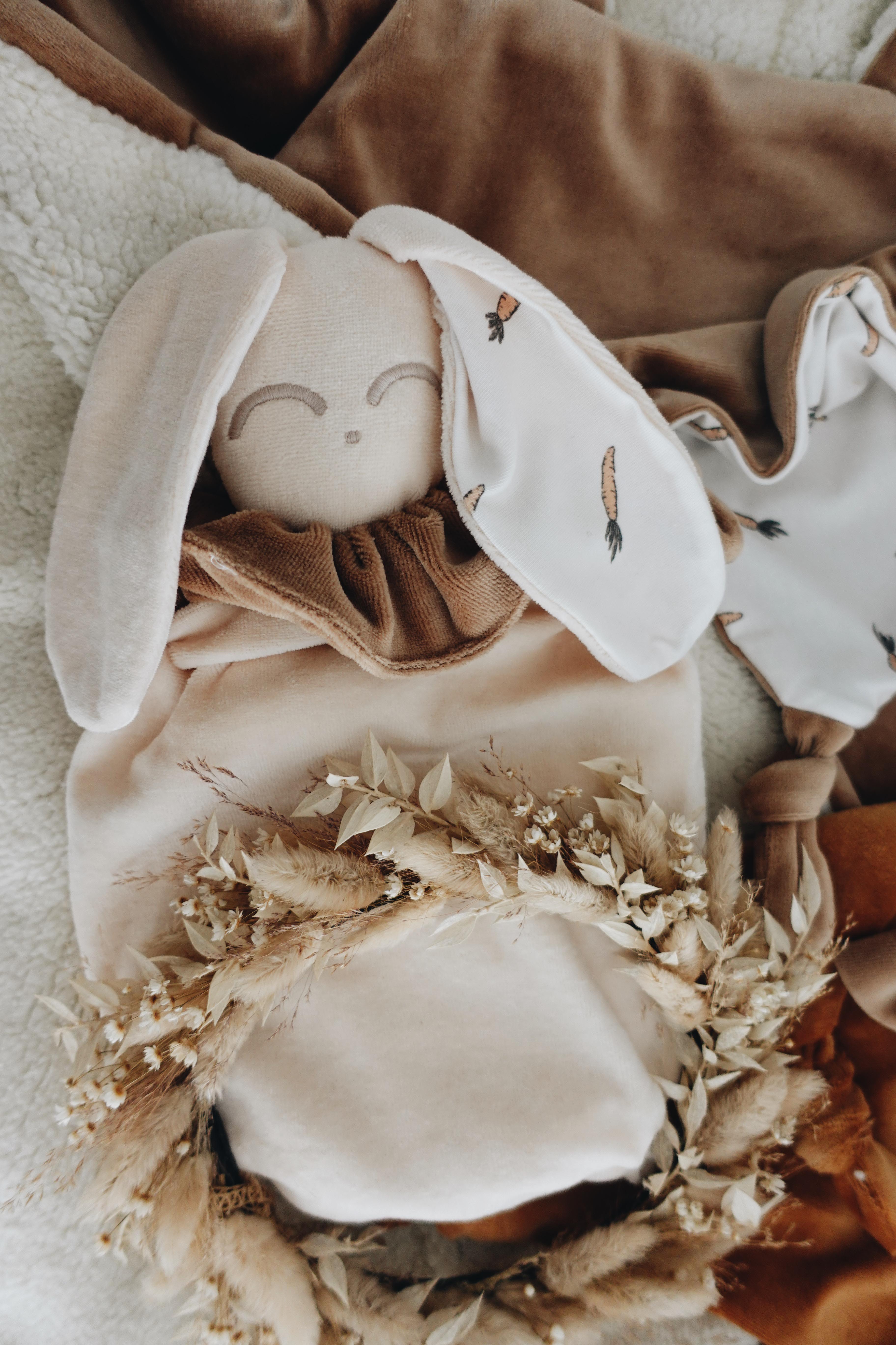 PROTOTYPE - Bouillotte noyaux de cerise velours - Carrots