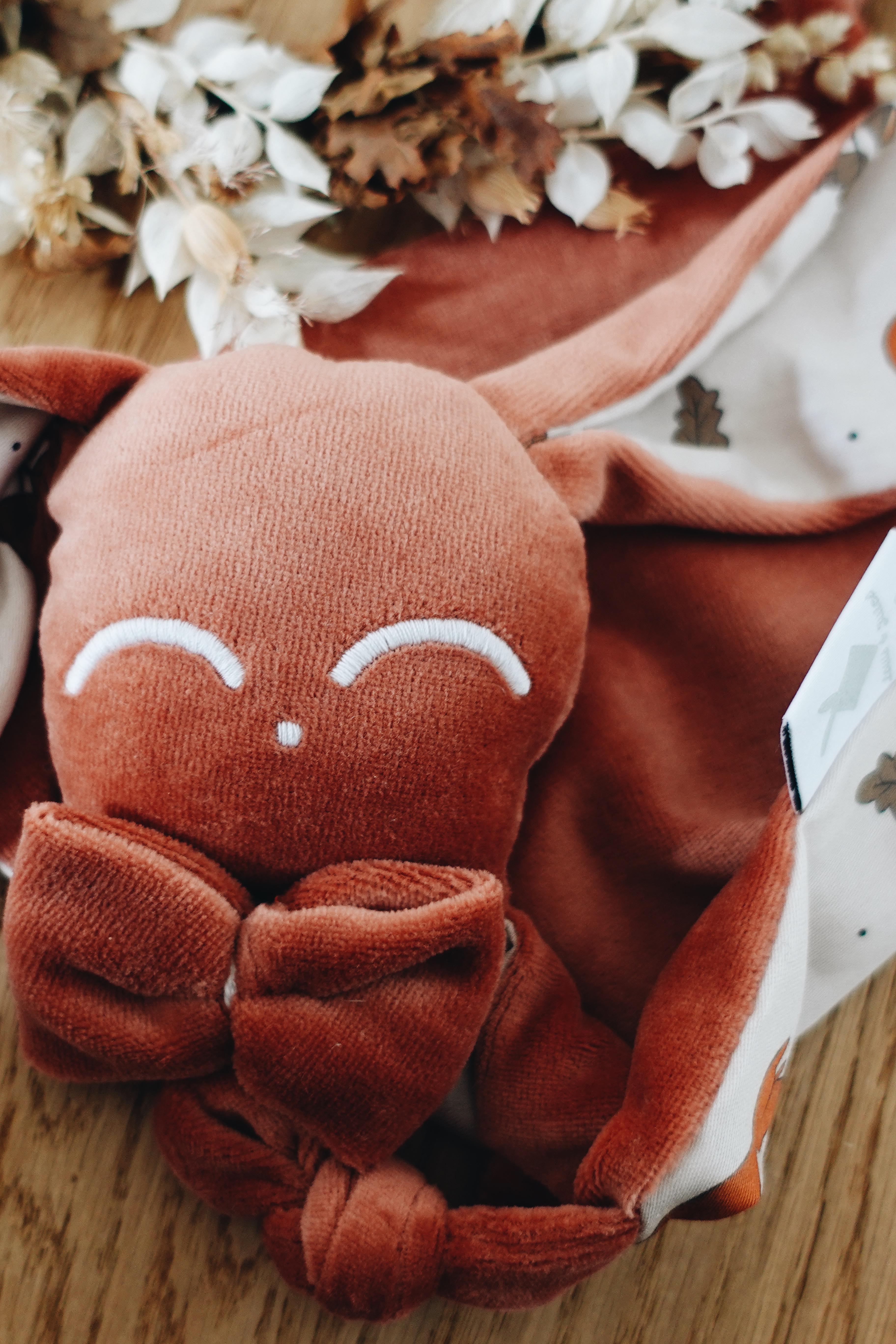 PROTOTYPE - Doudou Velours Chouchou - Ecureuil