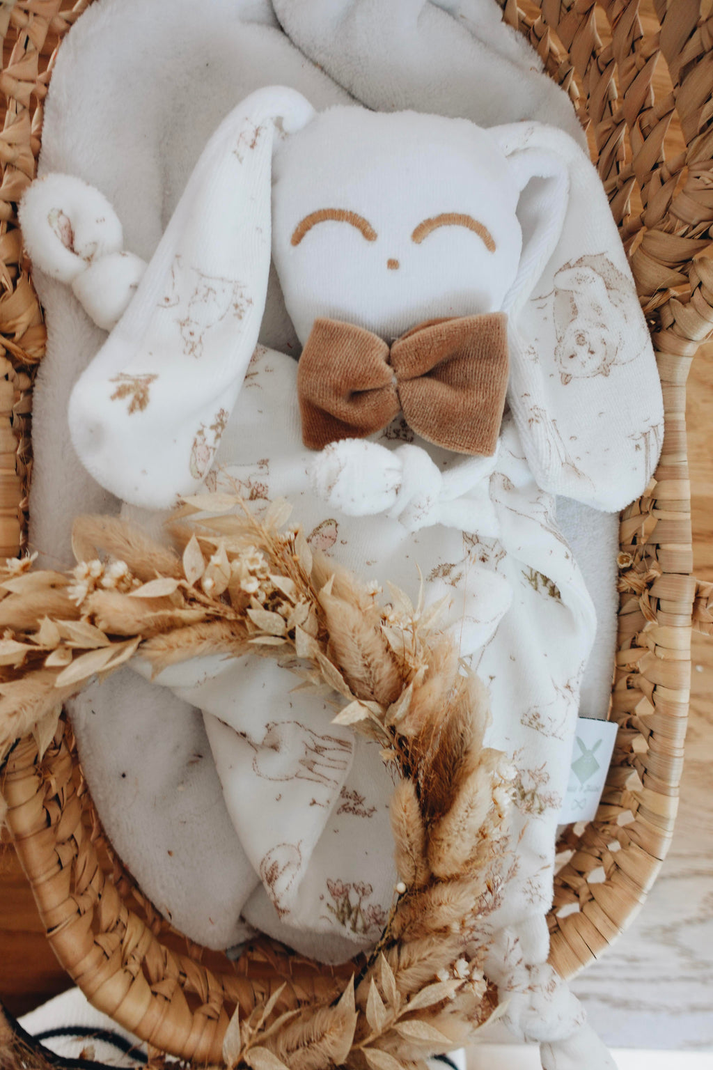 Doudou Velours Chouchou - Robin