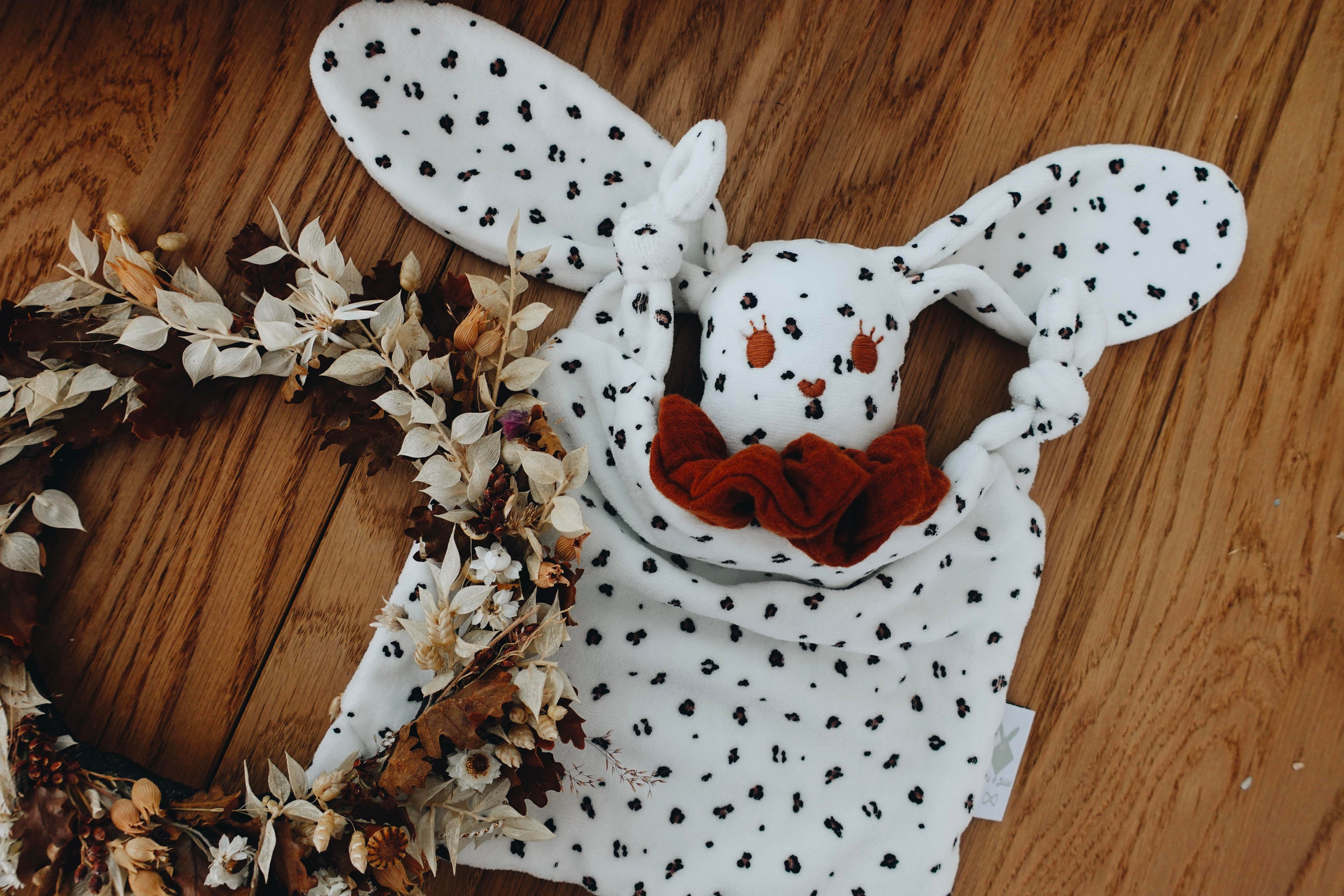 PROTOTYPE - Doudou Velours Chouchou - Graou