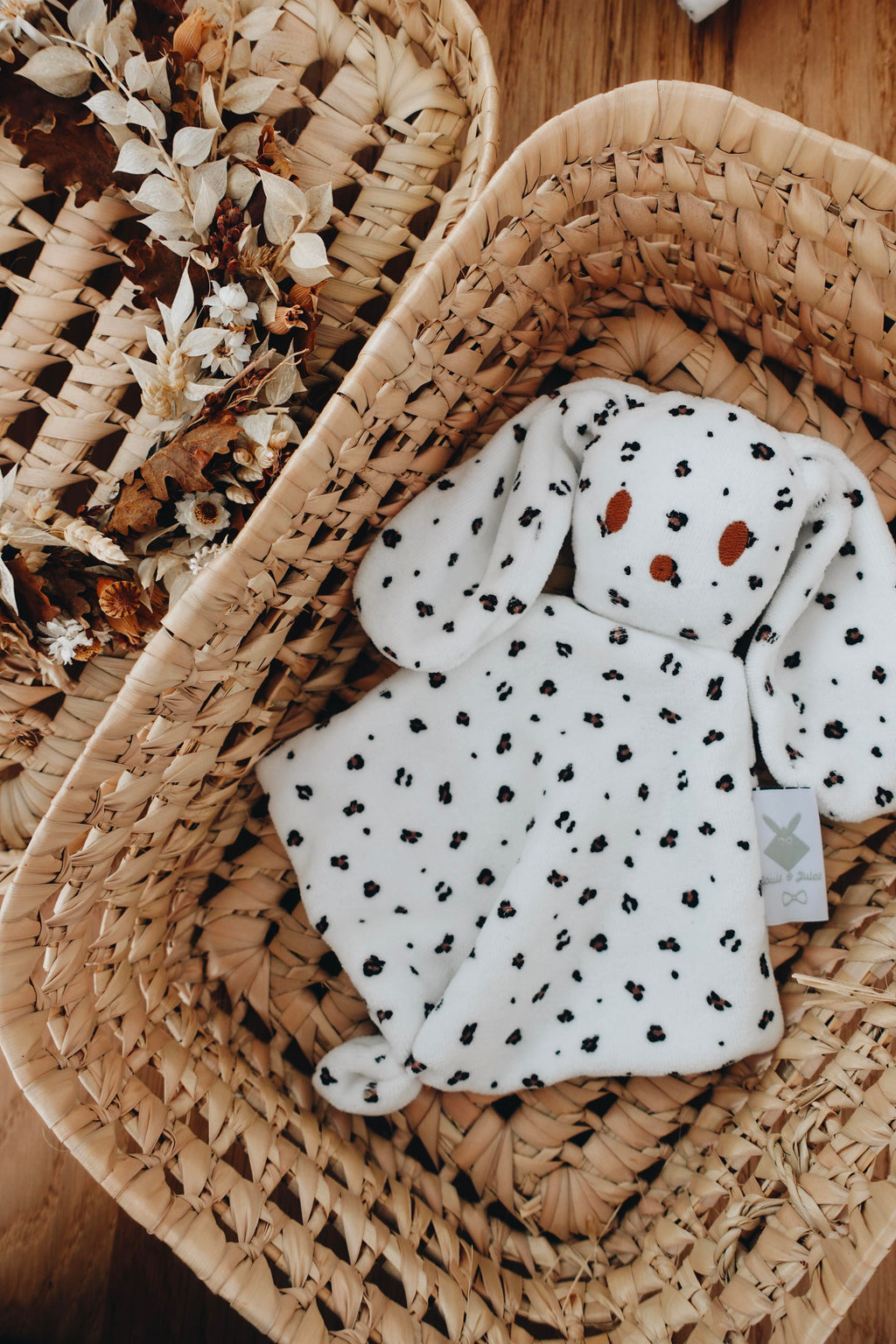 PROTOTYPE - Bébé Doudou Velours - Graou