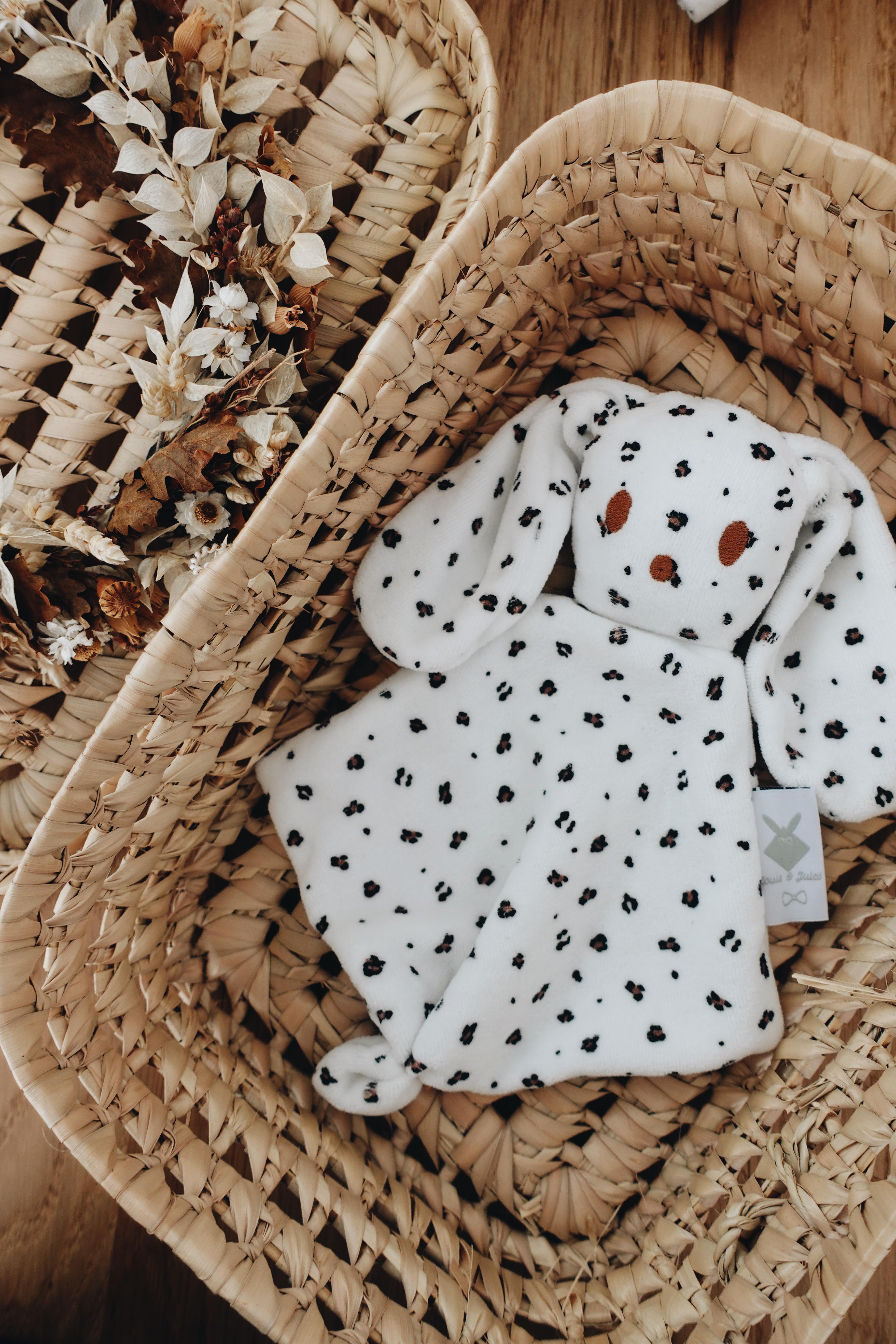 PROTOTYPE - Bébé Doudou Velours - Graou