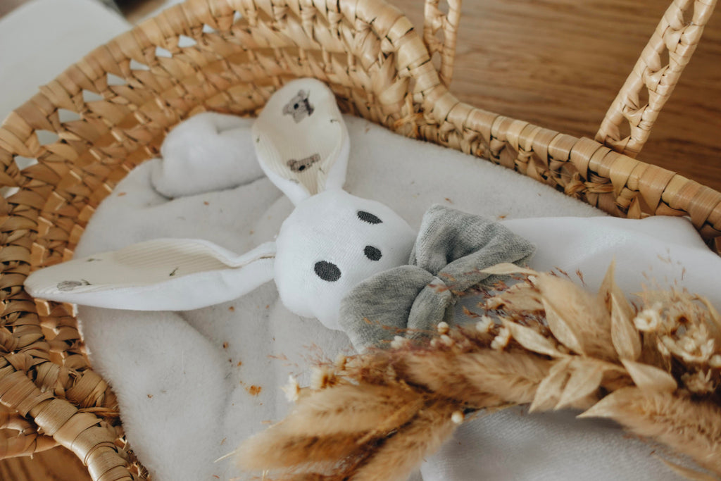 PROTOTYPE - Bébé Doudou Velours - Cute Koalas