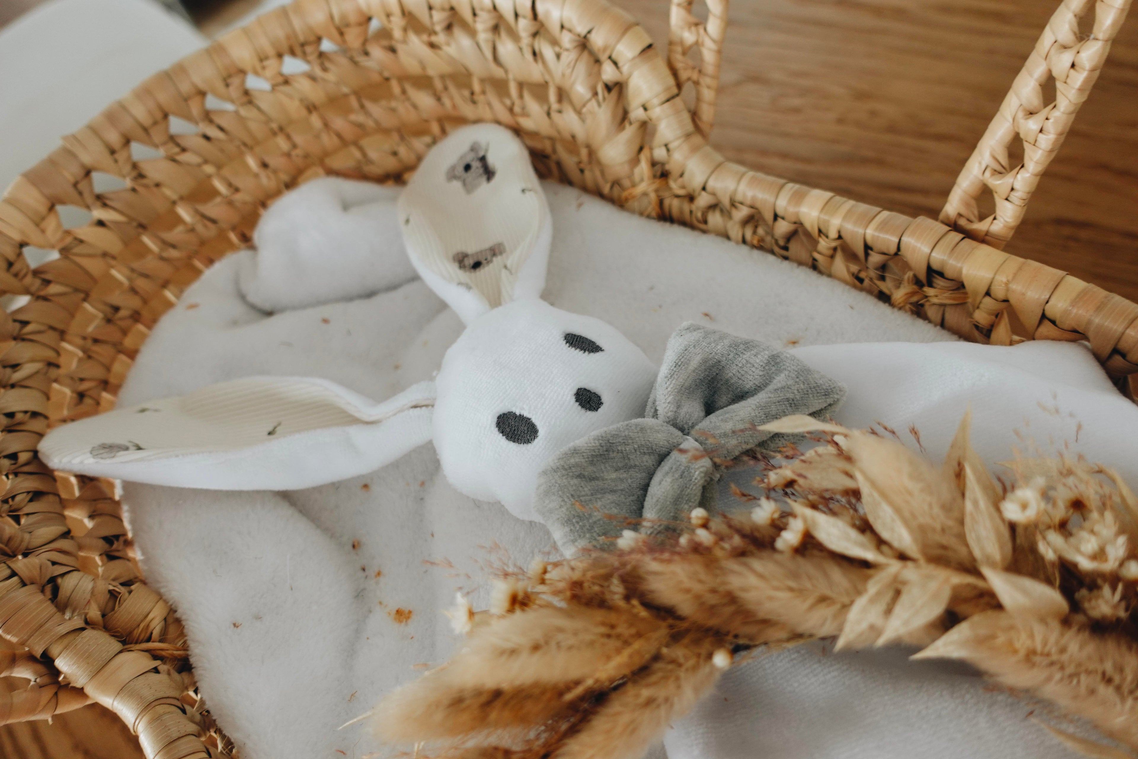 PROTOTYPE - Bébé Doudou Velours - Cute Koalas