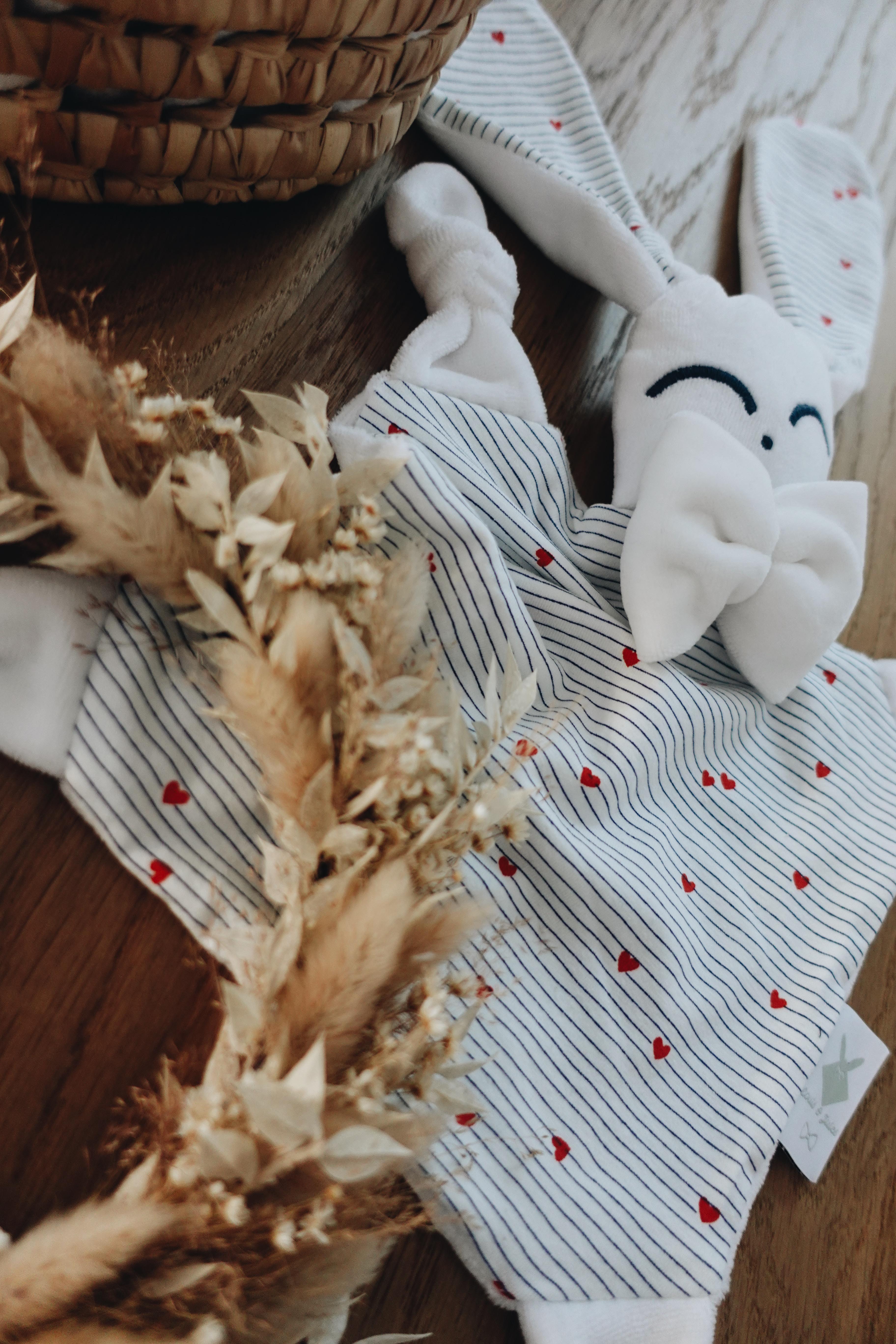 PROTOTYPE - Doudou Velours Chouchou - France