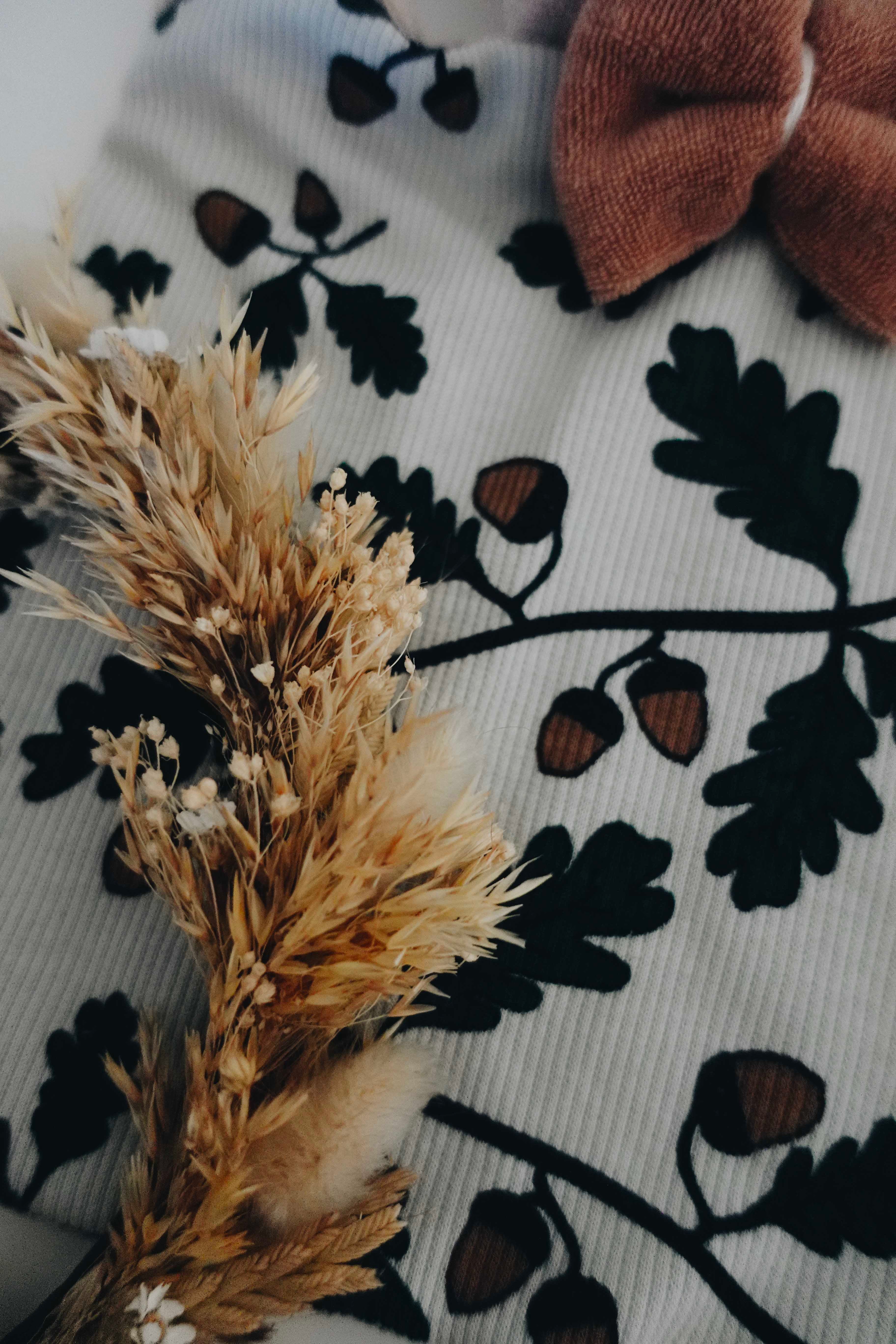 Doudou Eponge Chouchou – Acorns