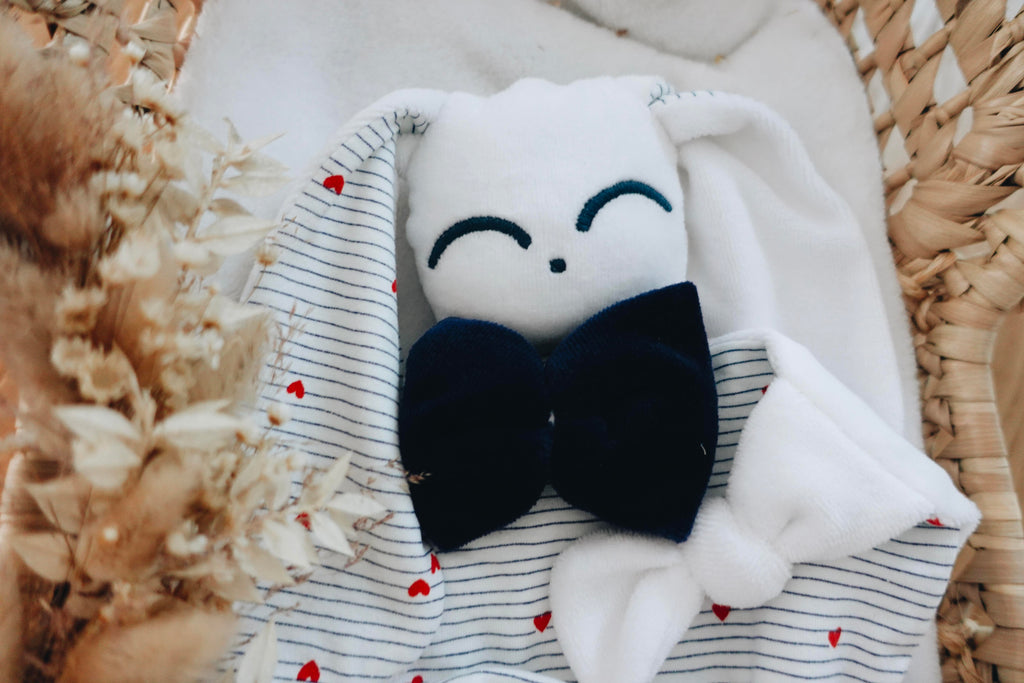 PROTOTYPE - Doudou Velours Chouchou - France