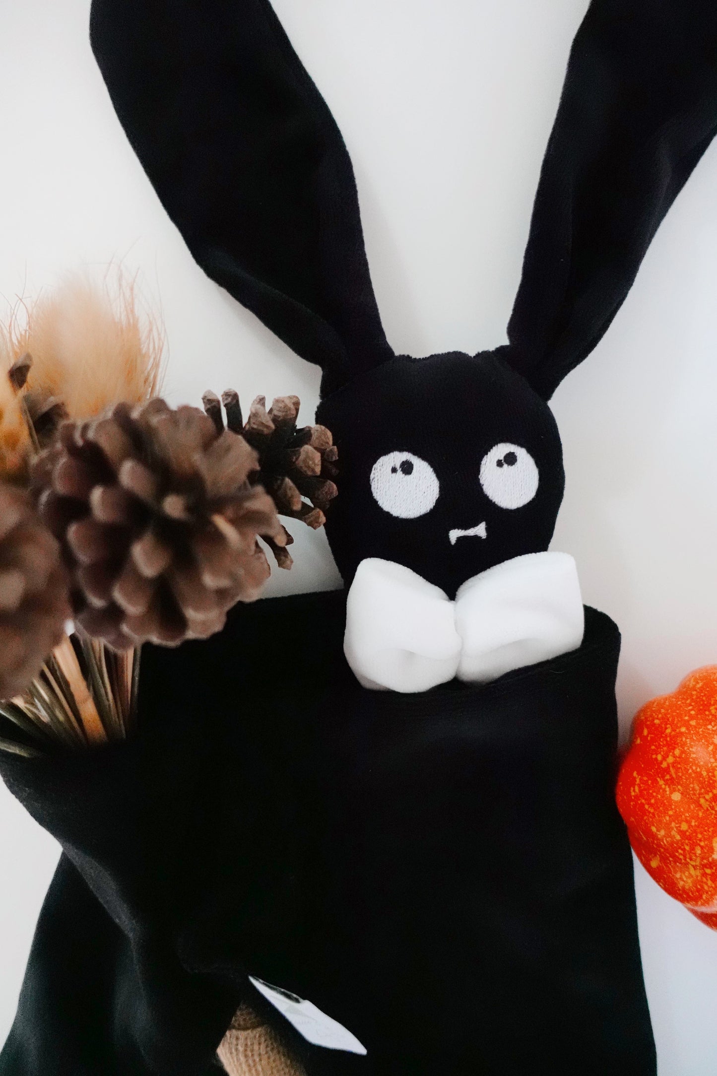 PROTOTYPE - Chauve Lapin