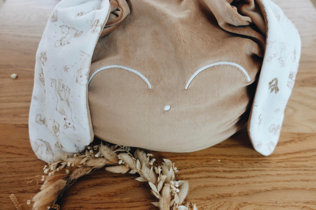 Petit Coussin Velours - Robin