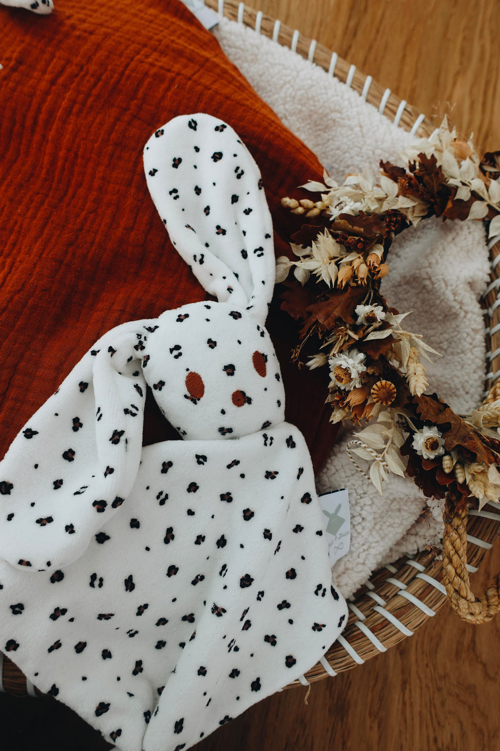 PROTOTYPE - Bébé Doudou Velours - Graou