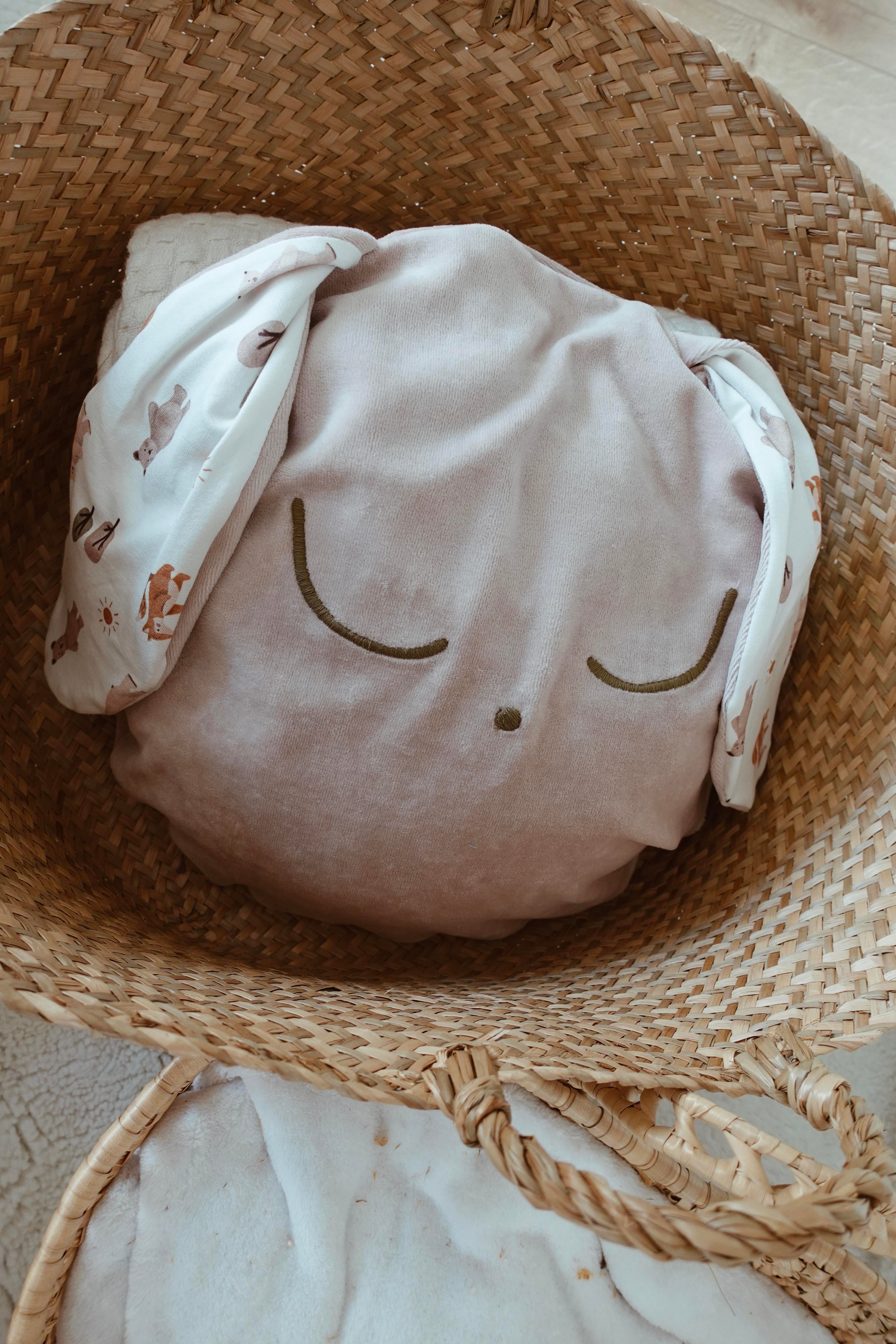 Petit Coussin Velours - Sweet Friends