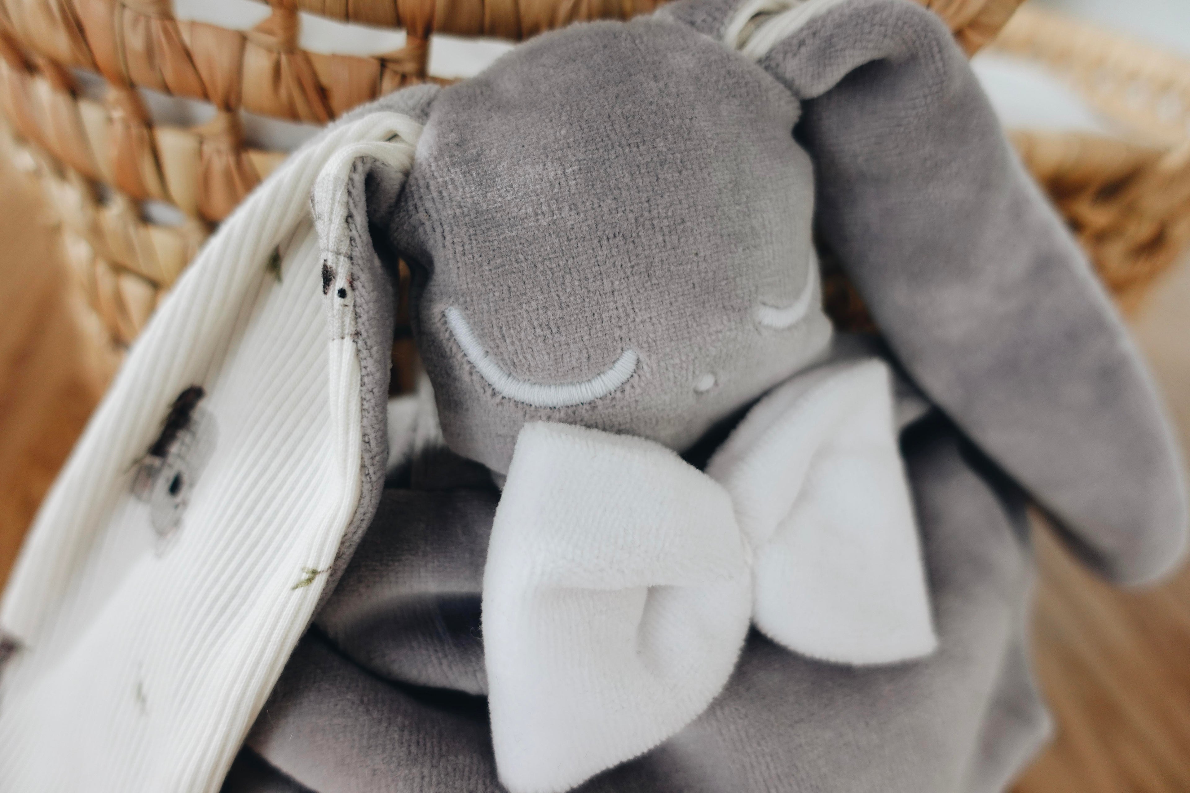 PROTOTYPE - Bouillotte noyaux de cerise velours - Cute Koalas