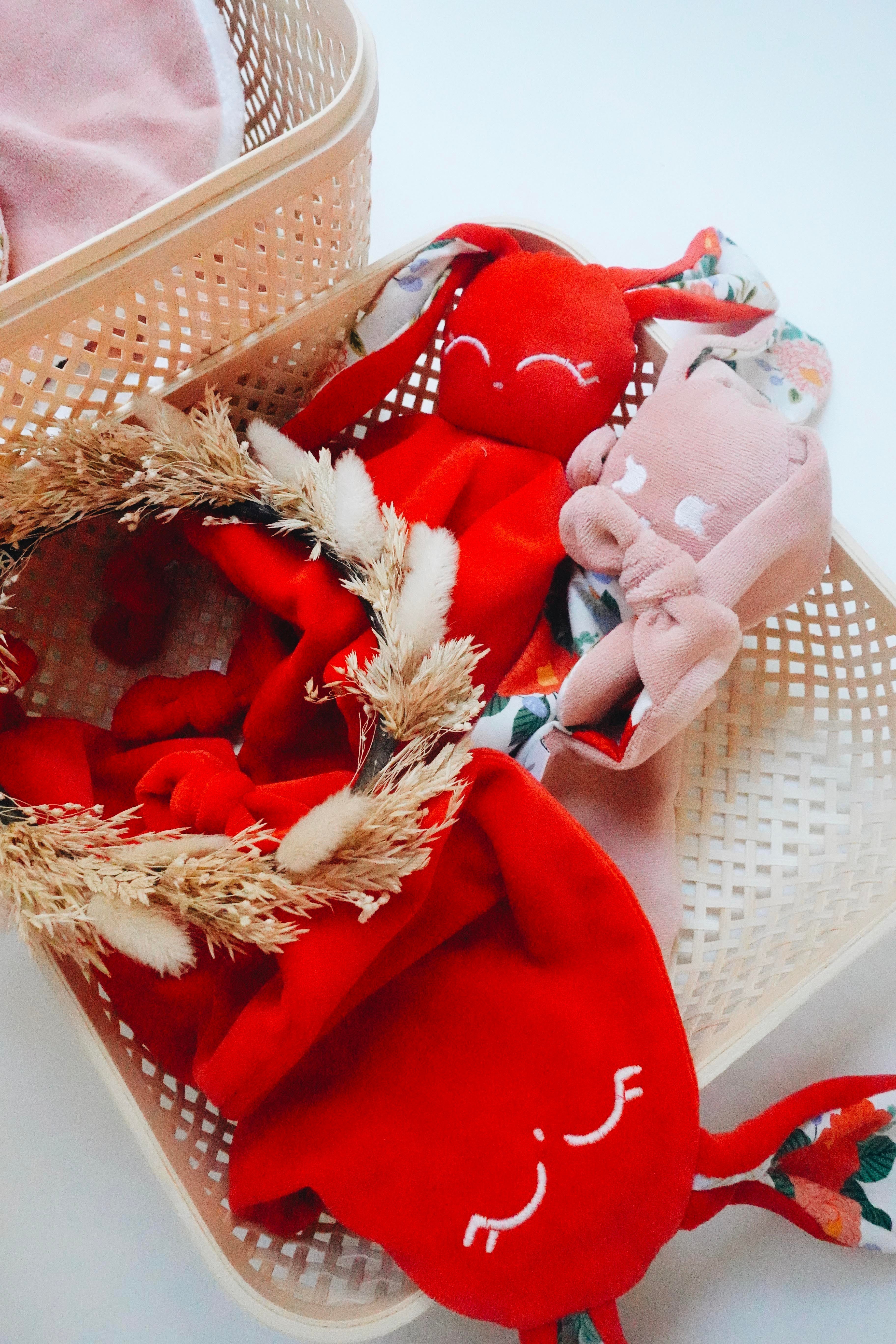 PROTOTYPE - Doudou Velours Chouchou – Wild Flora