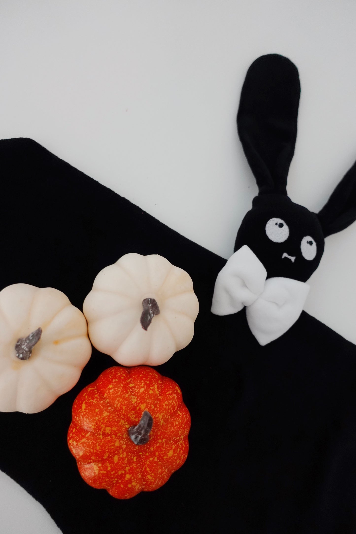 PROTOTYPE - Chauve Lapin