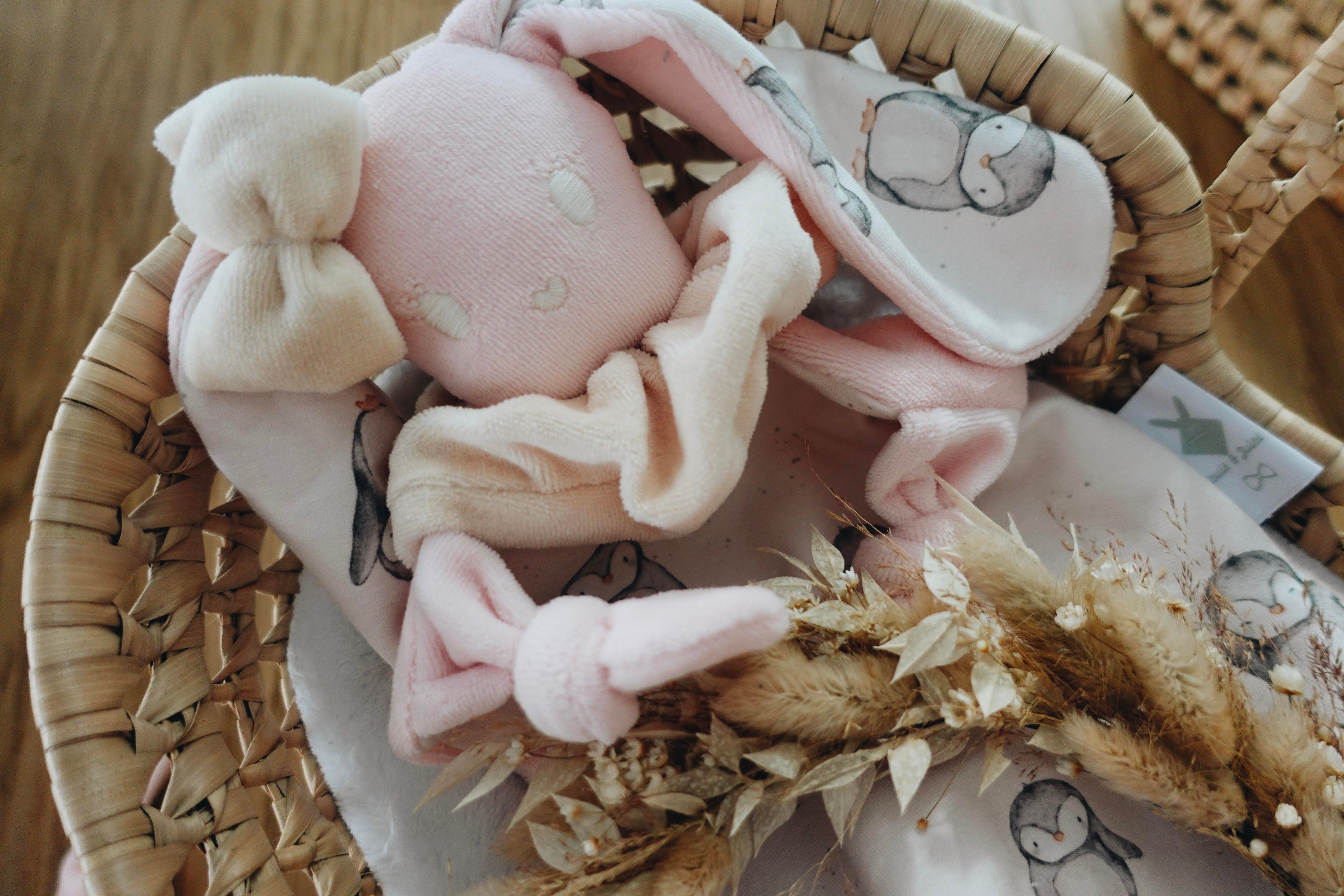 PROTOTYPE - Doudou Velours Chouchou - Pingui