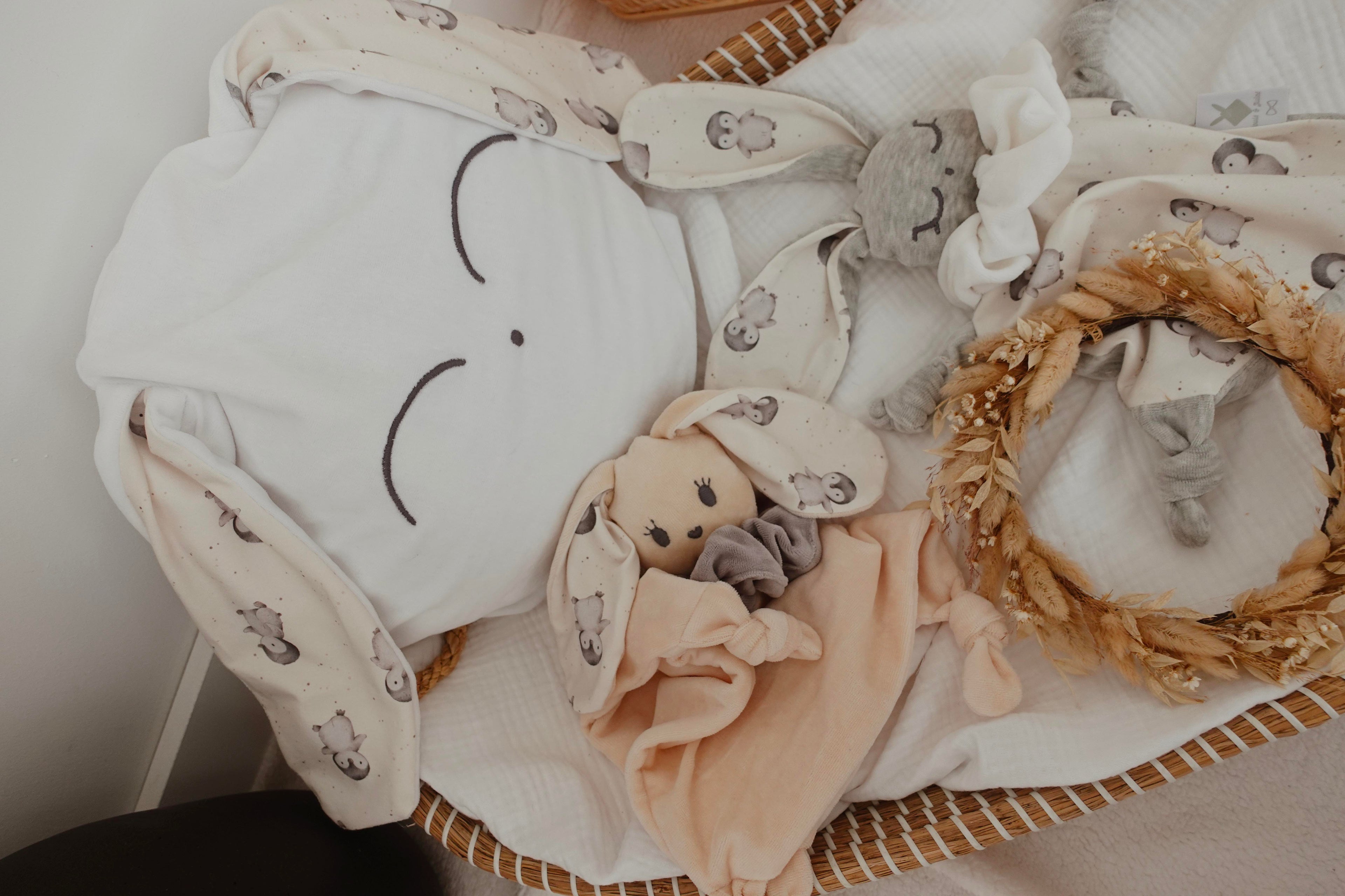 Petit Coussin Velours - Pinguins