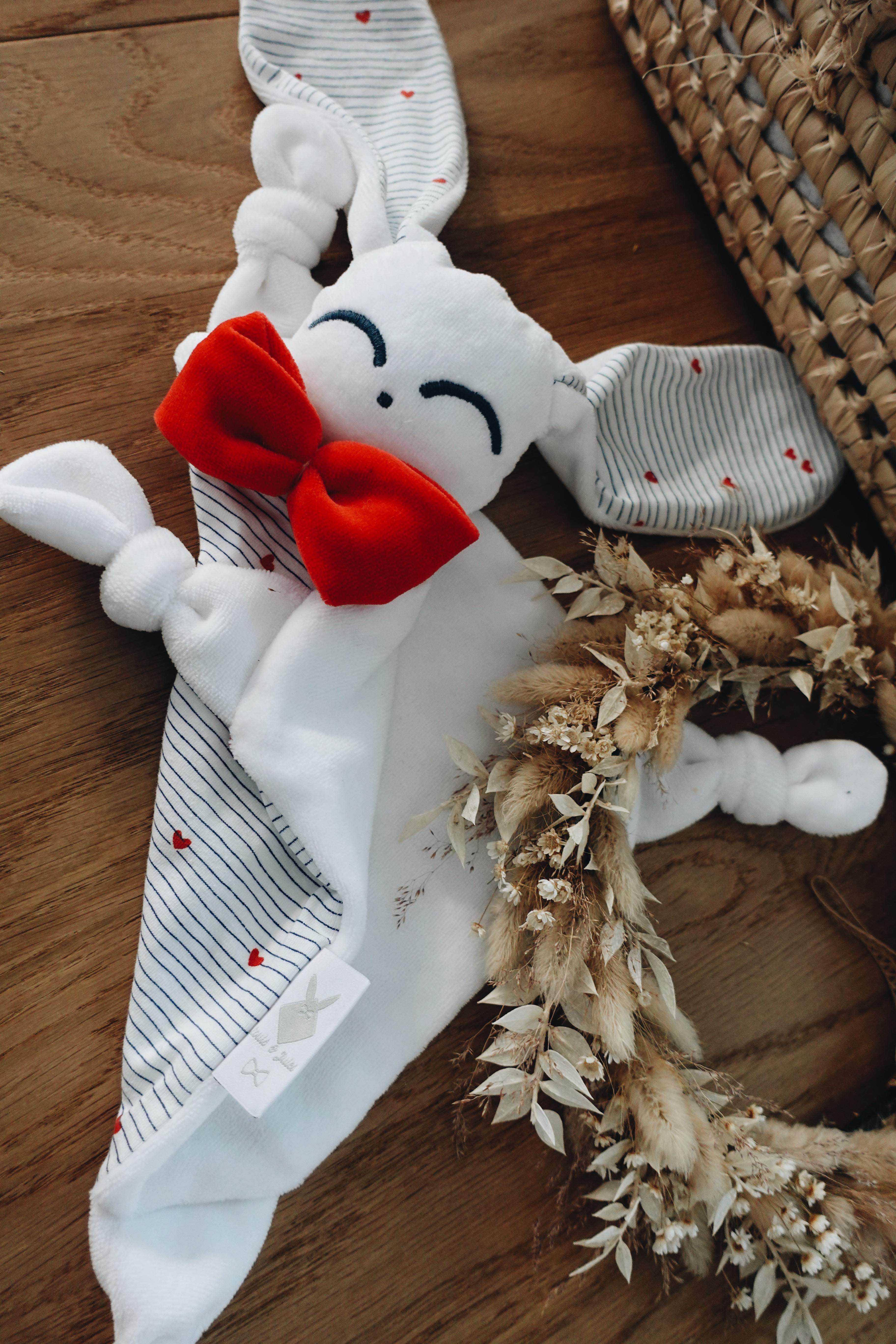 PROTOTYPE - Doudou Velours Chouchou - France
