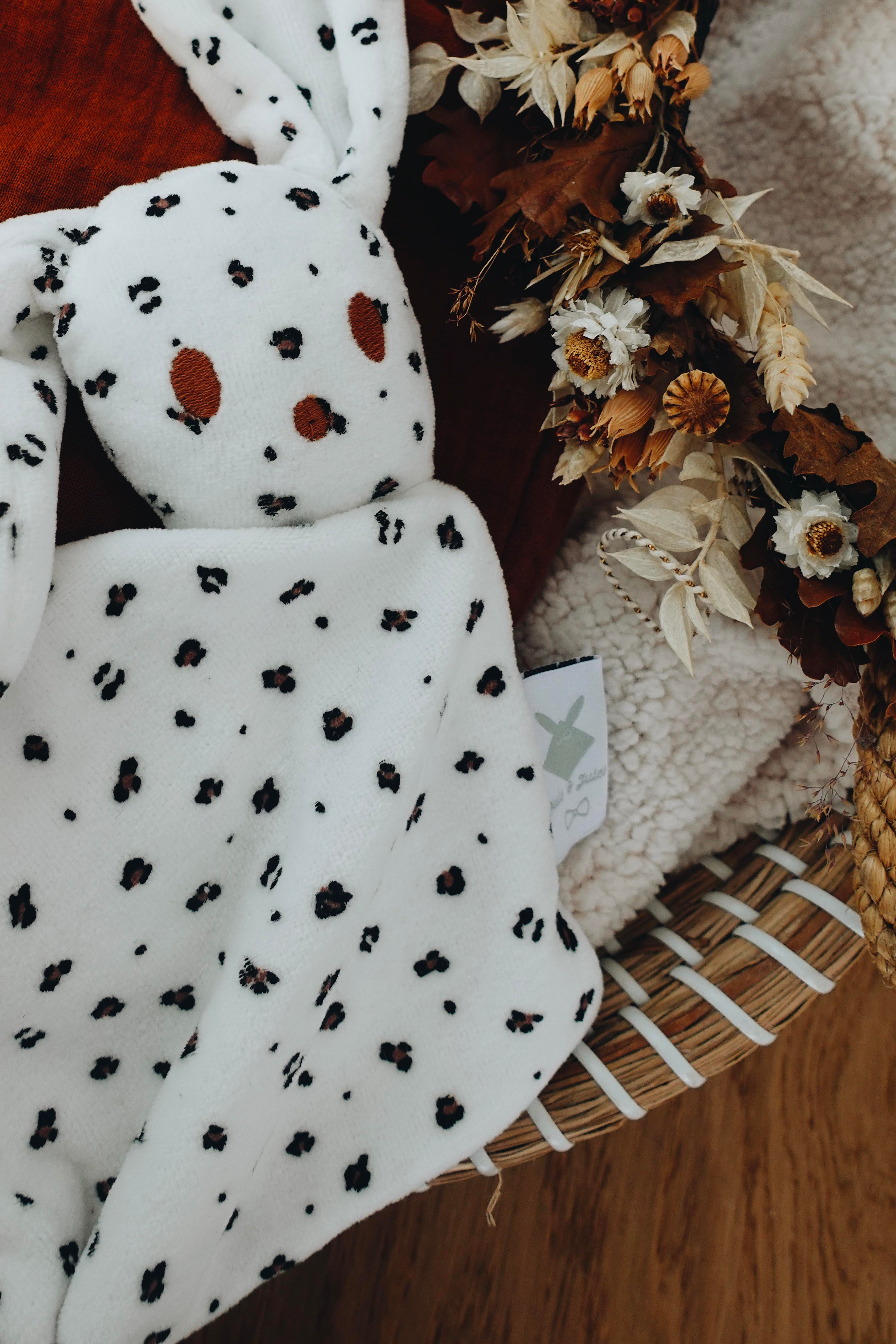 PROTOTYPE - Bébé Doudou Velours - Graou