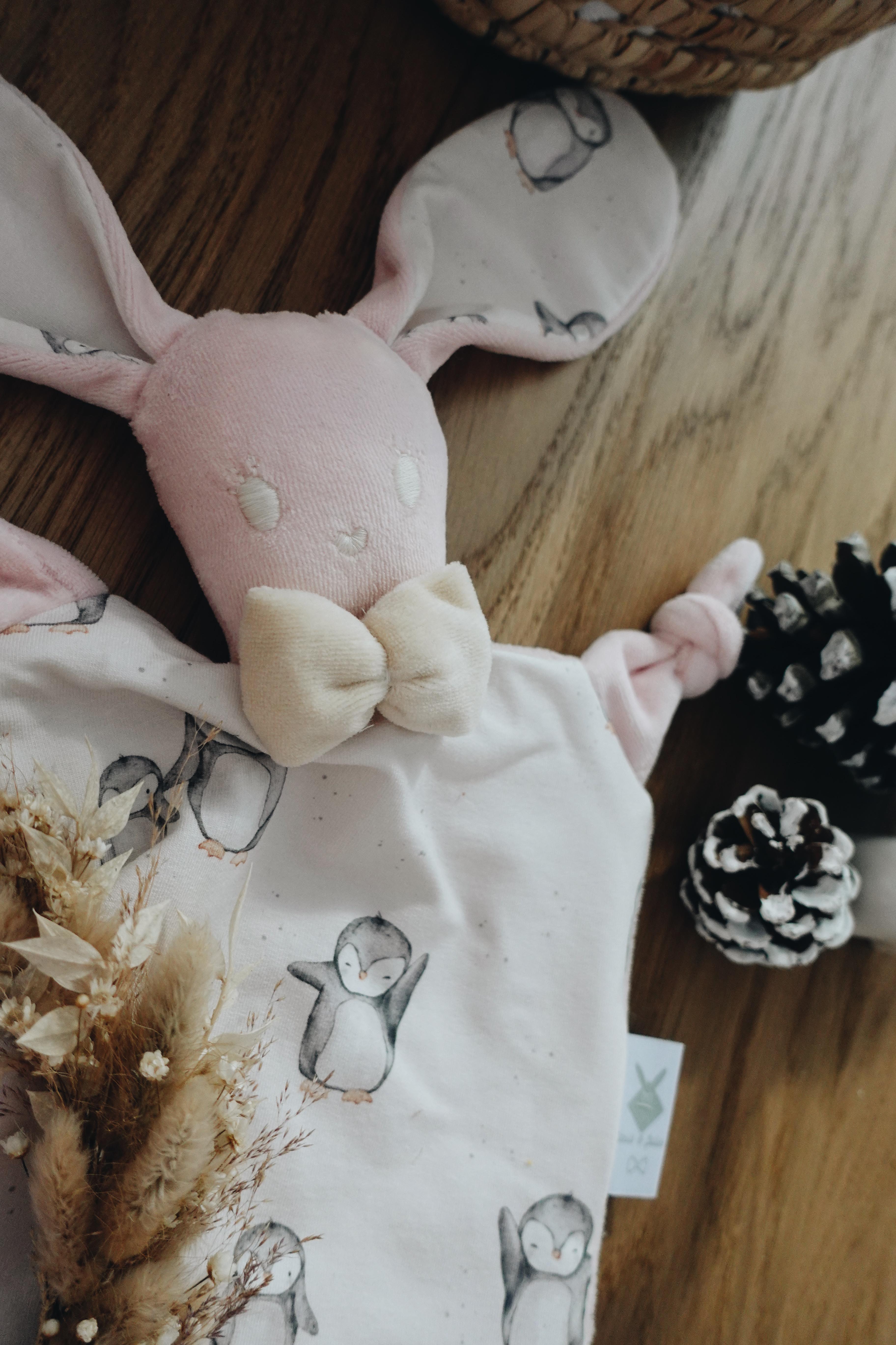 PROTOTYPE - Doudou Velours Chouchou - Pingui