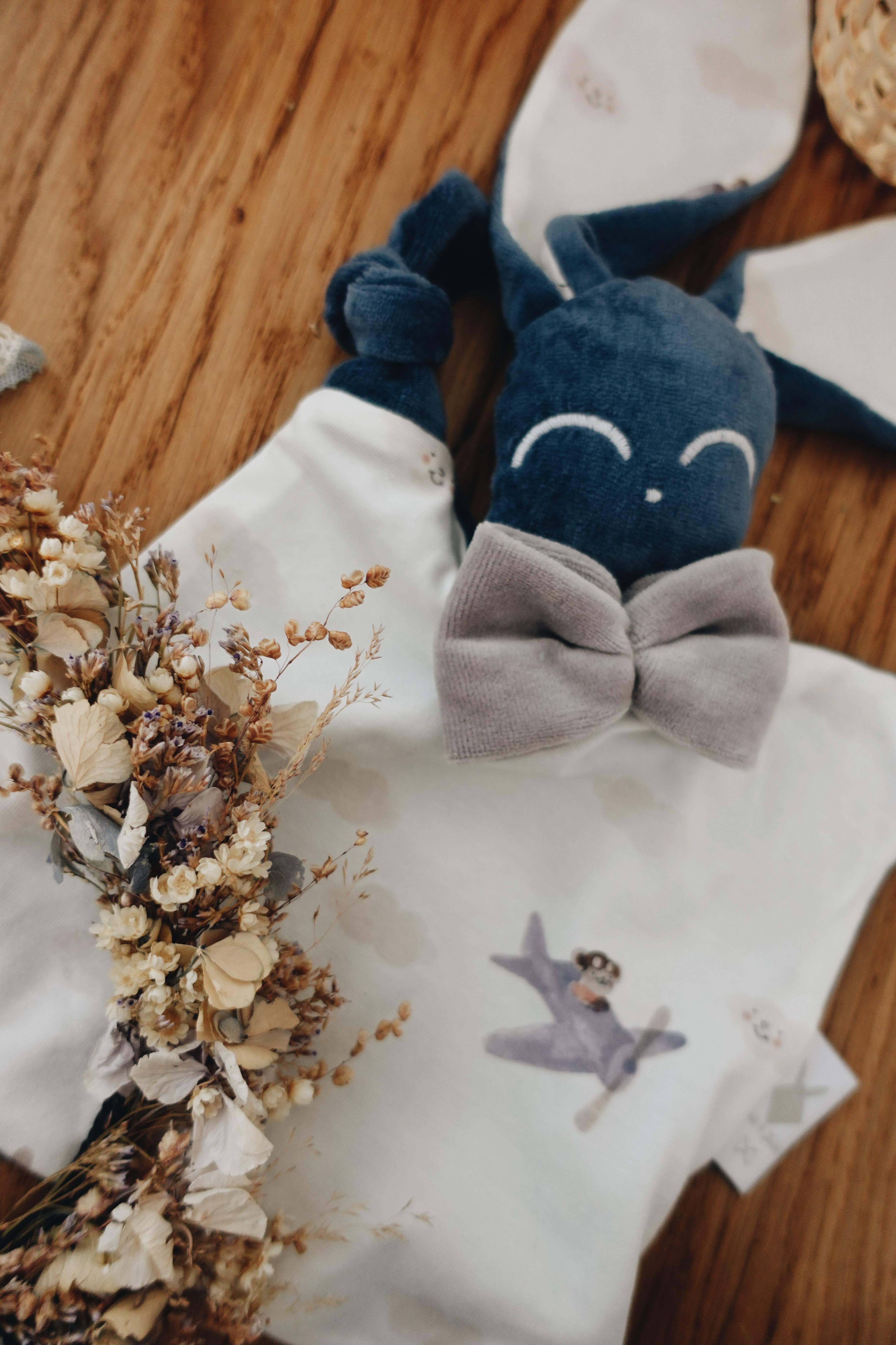 PROTOTYPE - Doudou Velours Chouchou - Airplane