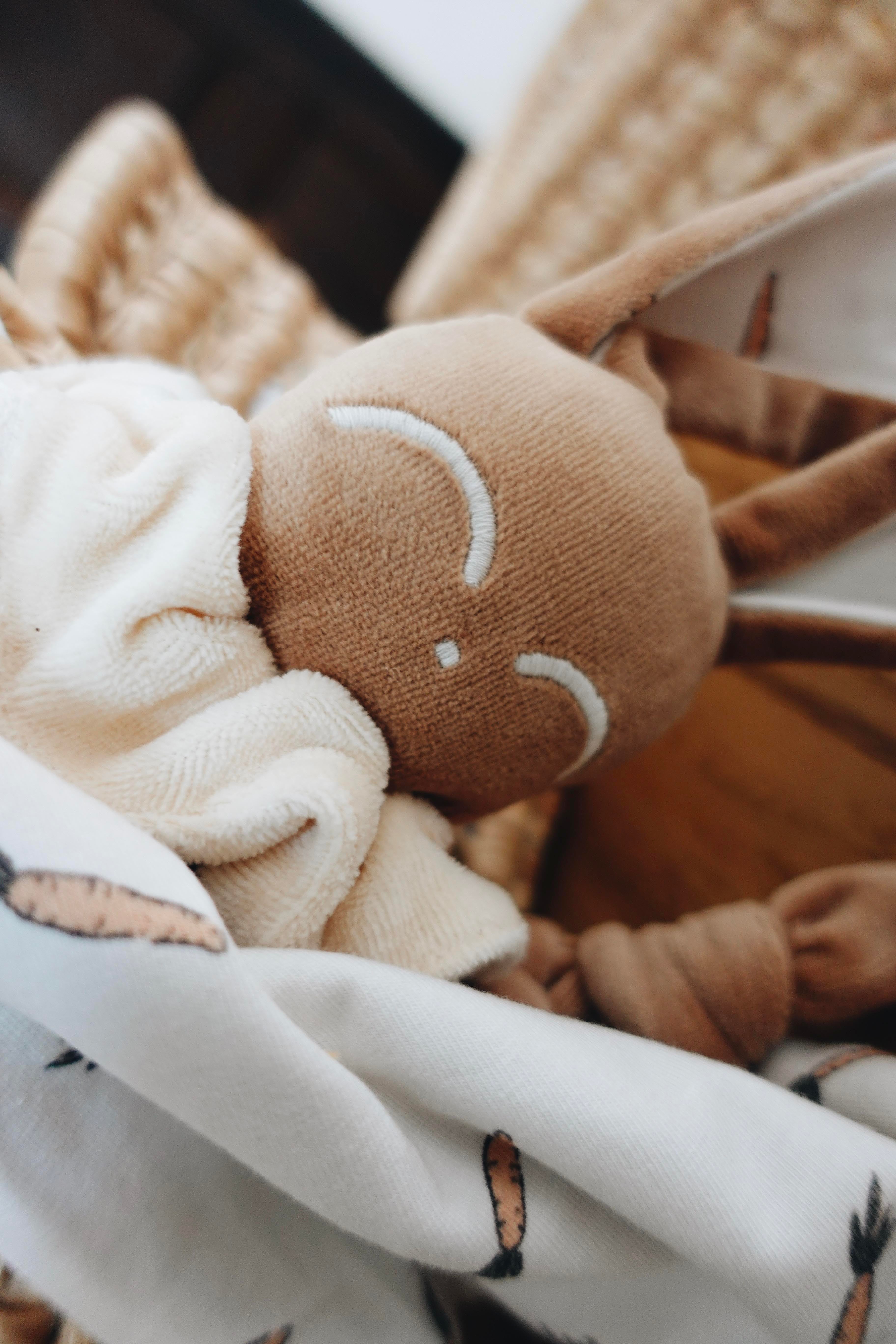 PROTOTYPE - Doudou Velours Chouchou - Carrots