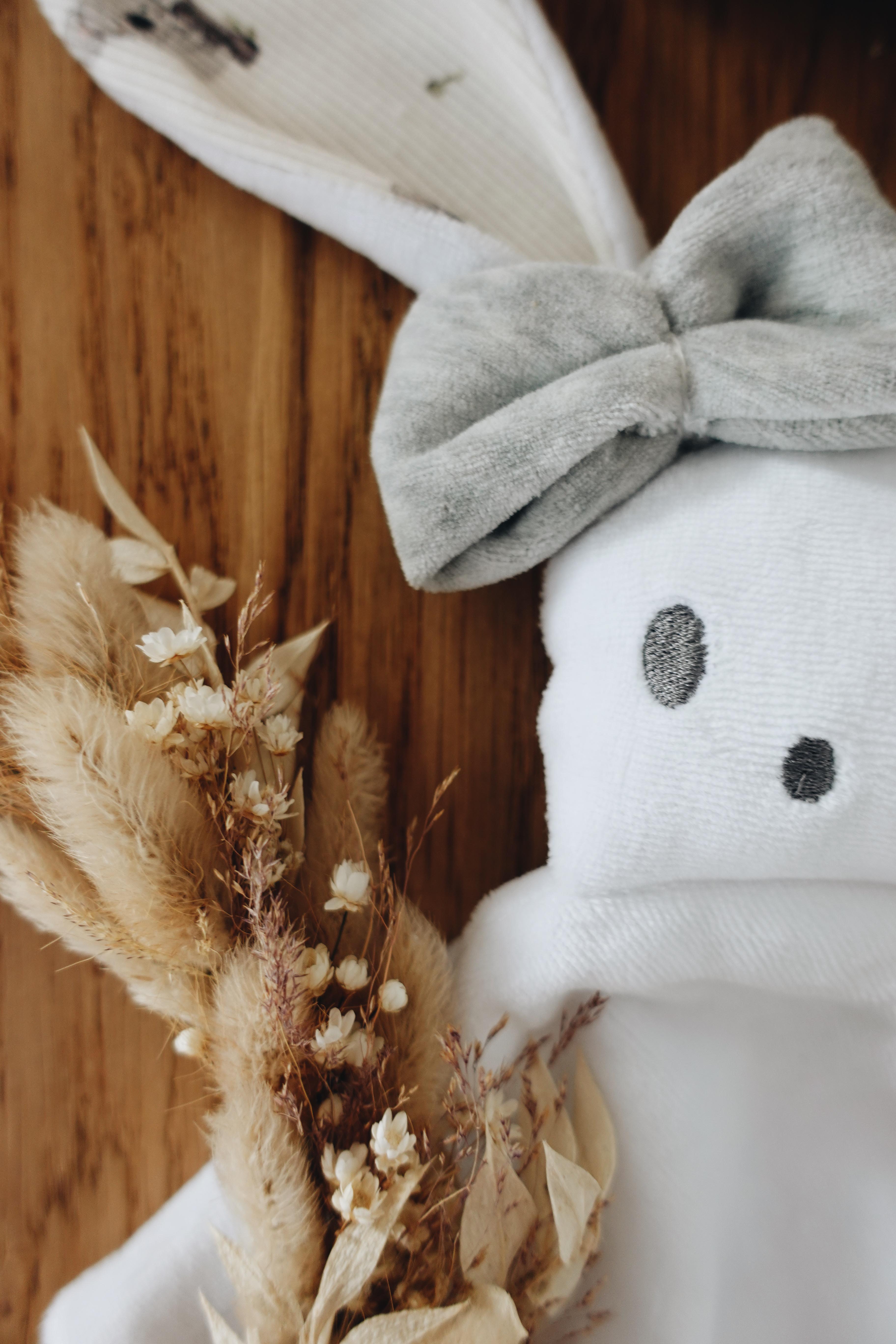 PROTOTYPE - Bébé Doudou Velours - Cute Koalas