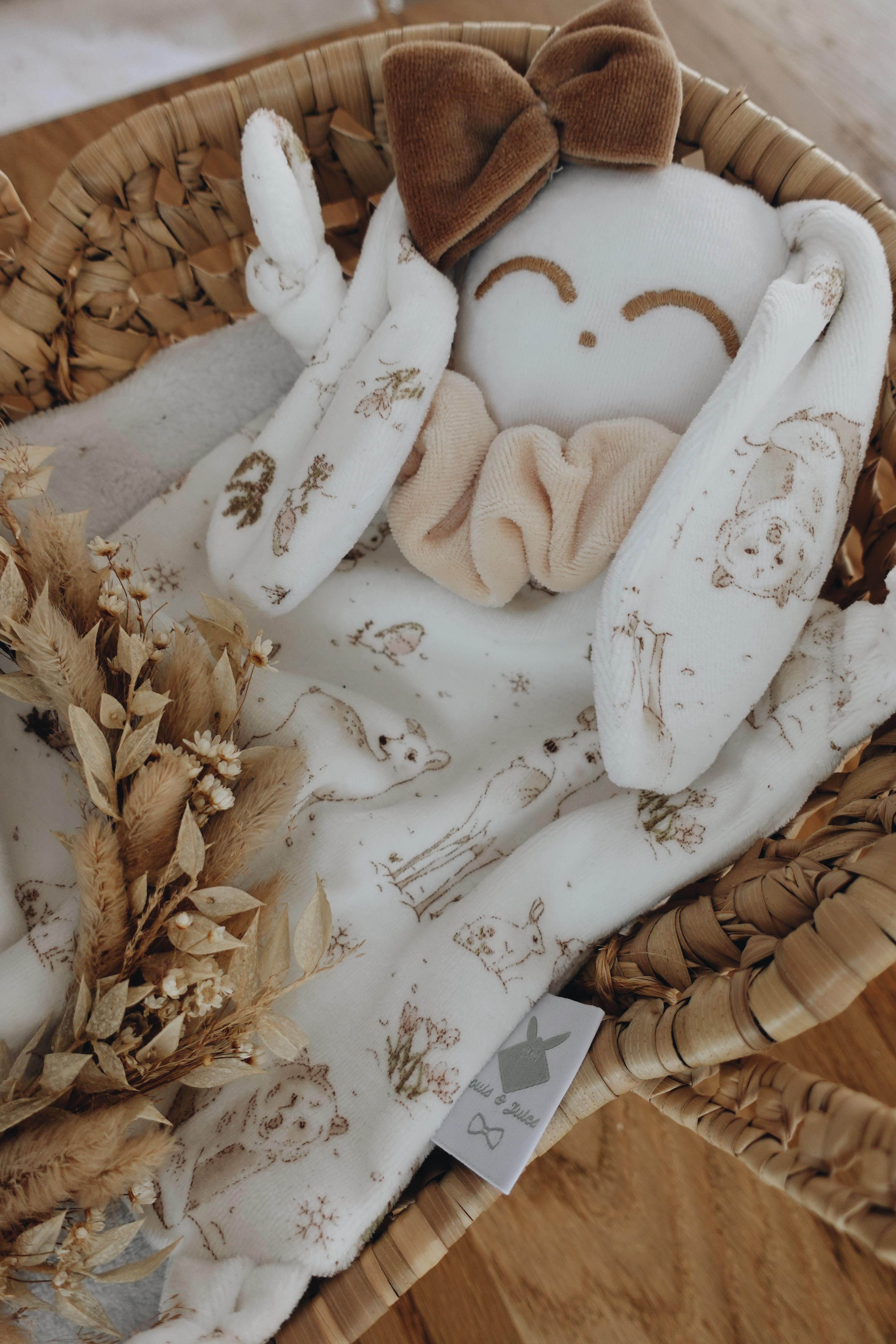 Doudou Velours Chouchou - Robin