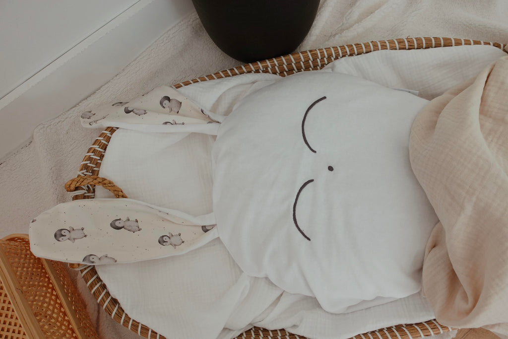 Petit Coussin Velours - Pinguins