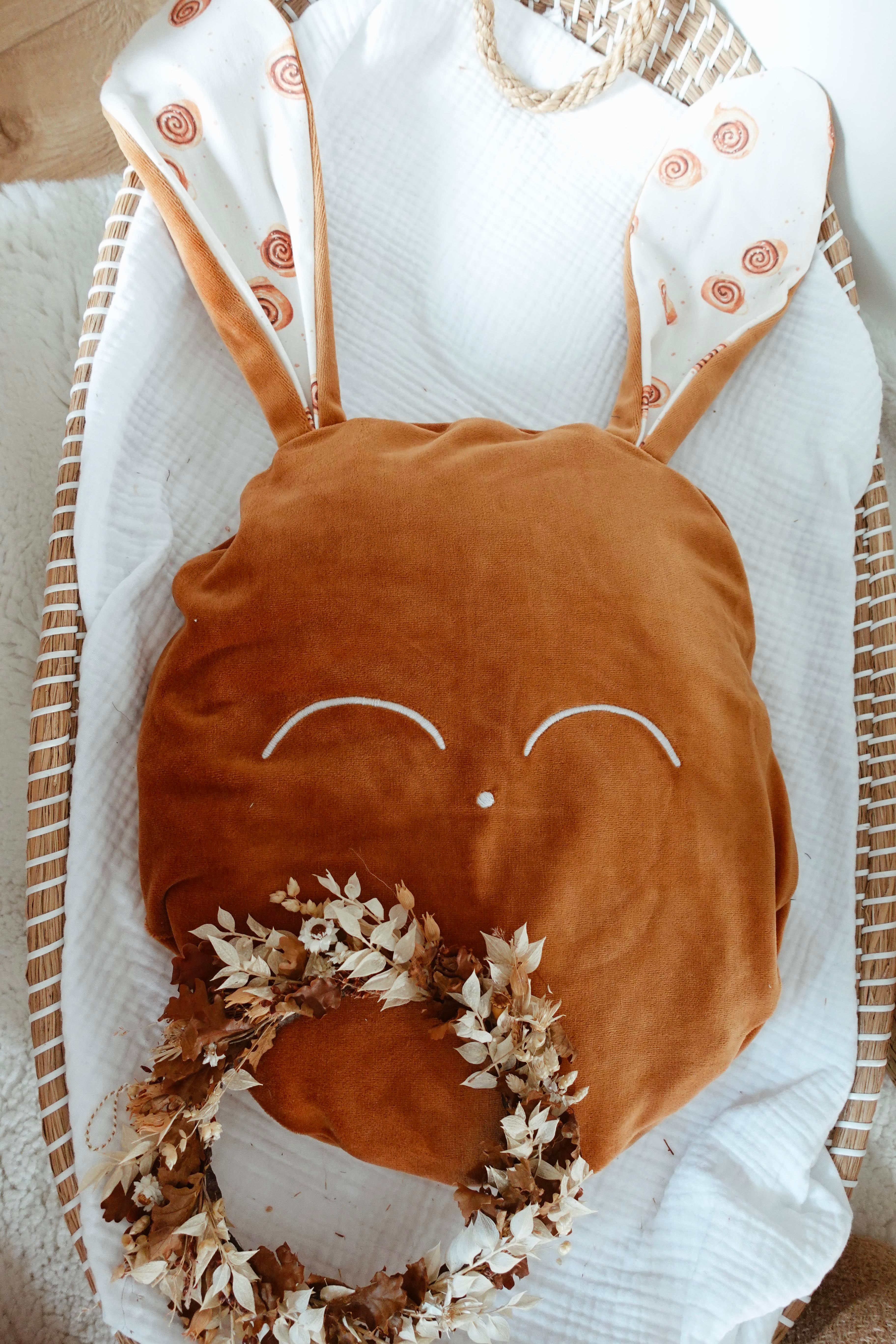 Petit Coussin Velours - Cinammon Rolls