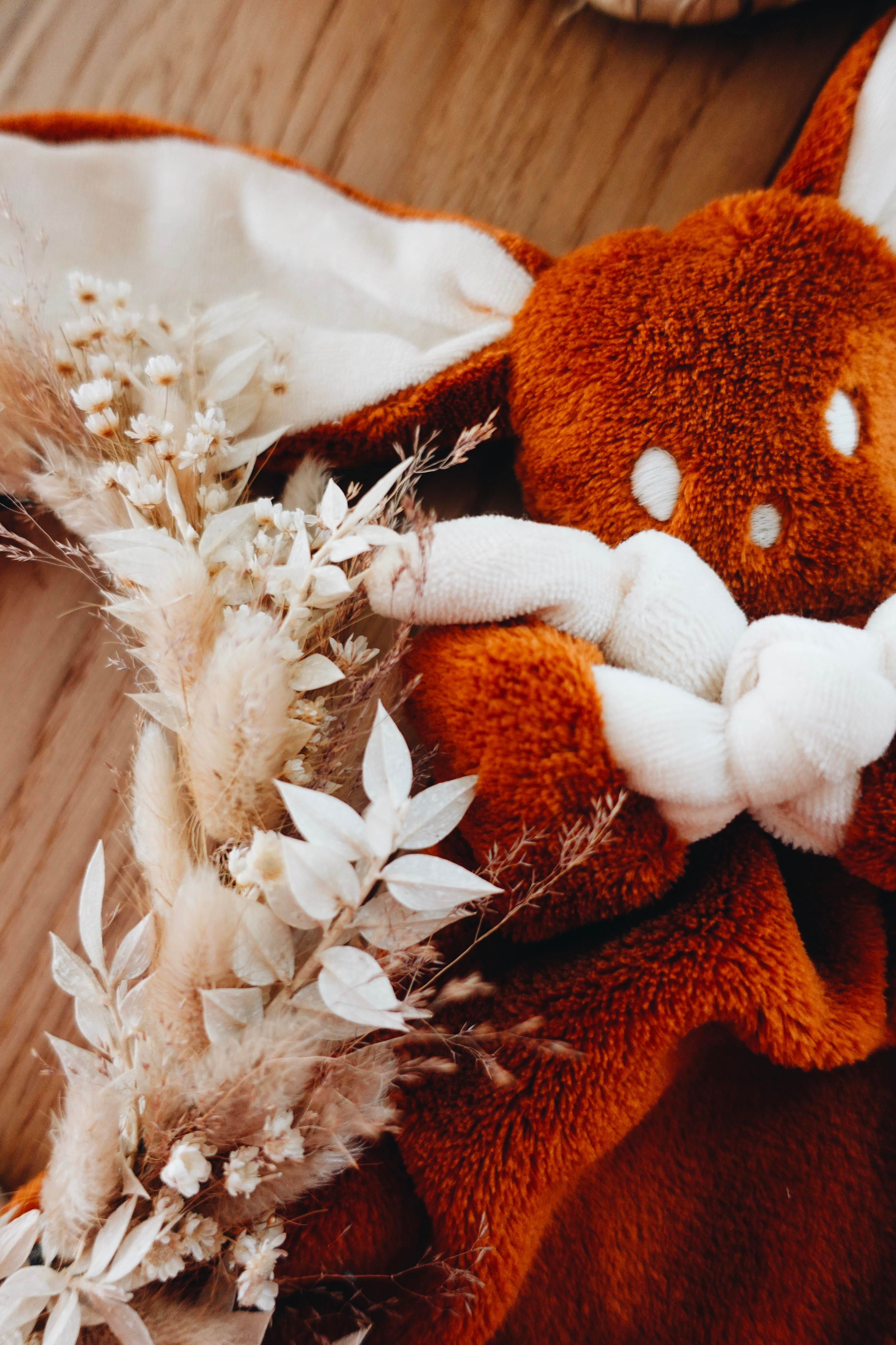 PROTOTYPE - Doudou Toudoux Naturel/Caramel