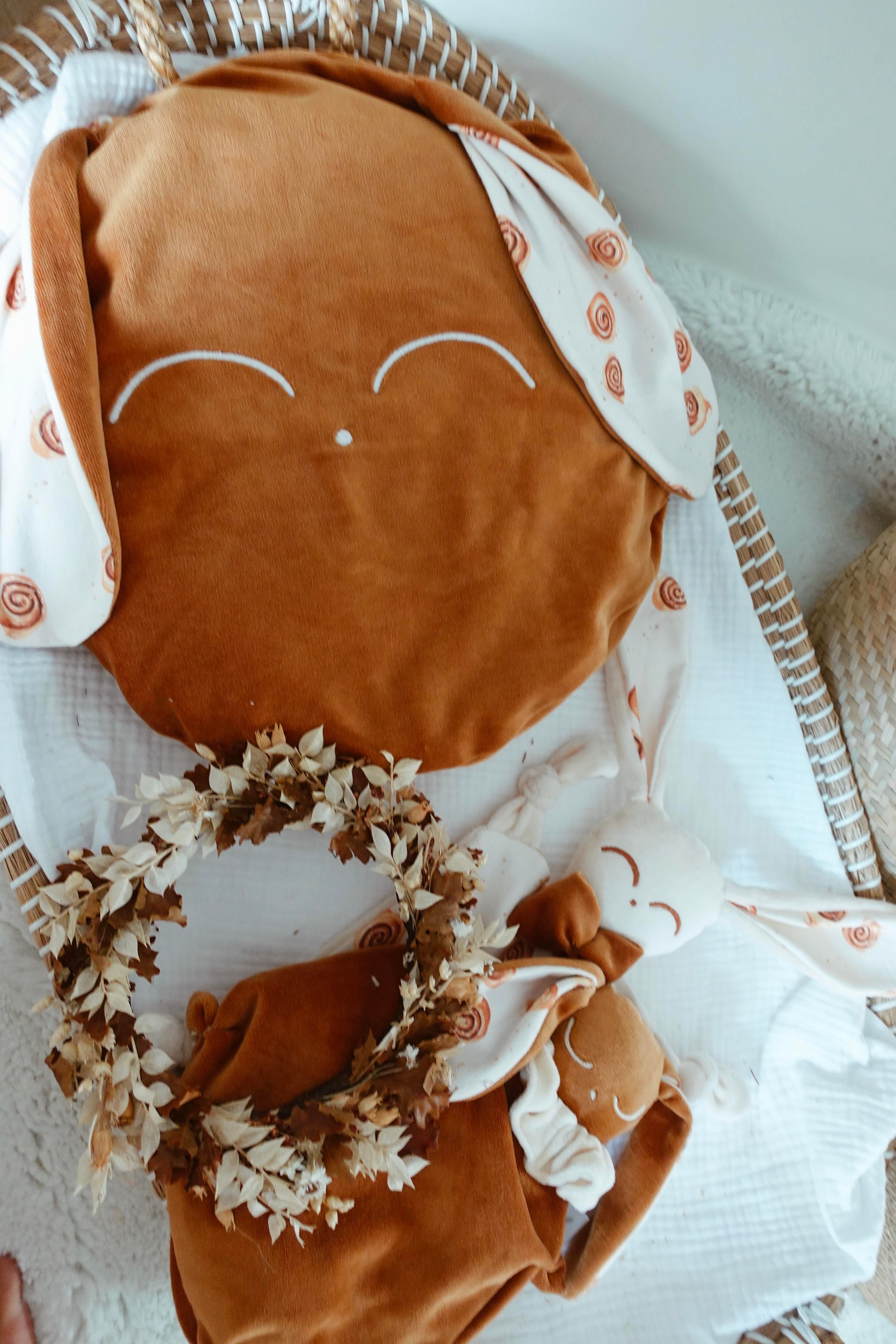 Petit Coussin Velours - Cinammon Rolls