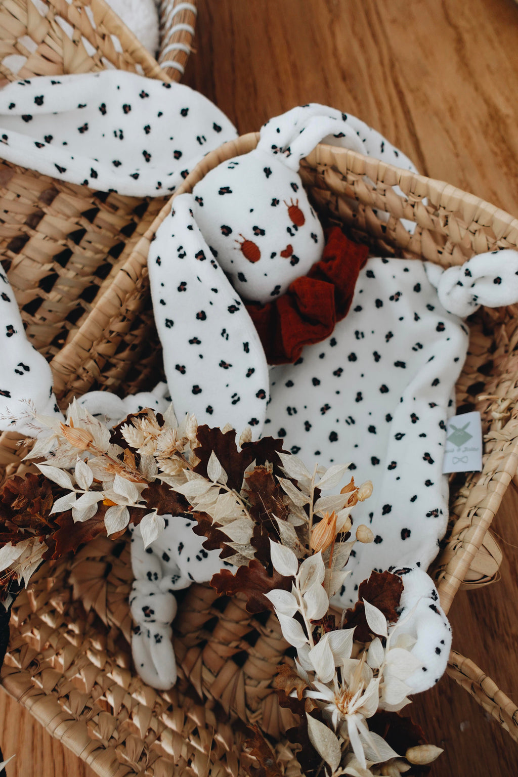 PROTOTYPE - Doudou Velours Chouchou - Graou