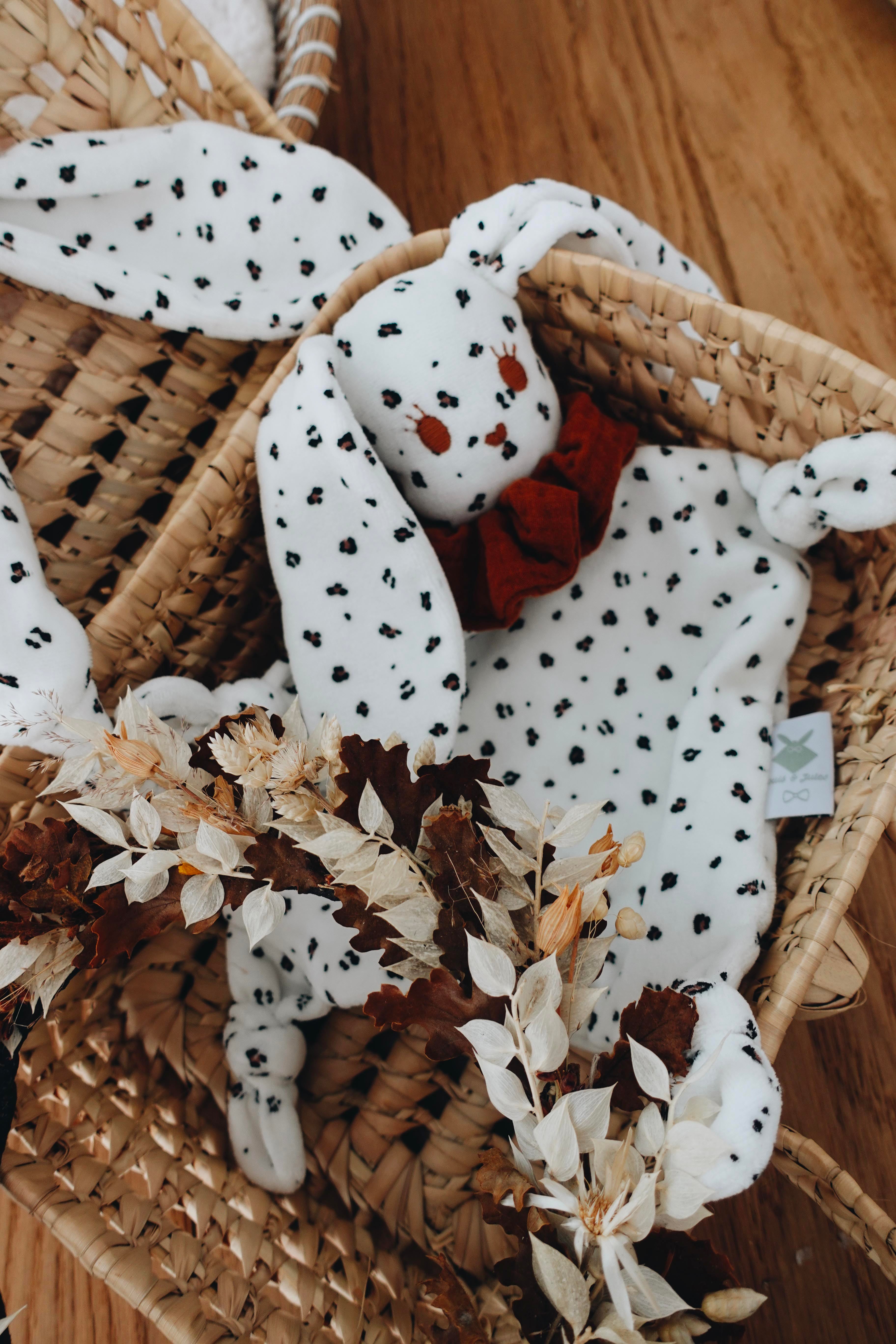 PROTOTYPE - Doudou Velours Chouchou - Graou