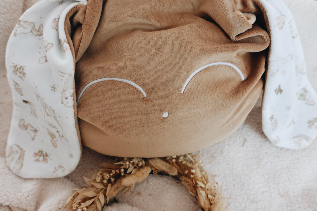 Petit Coussin Velours - Robin