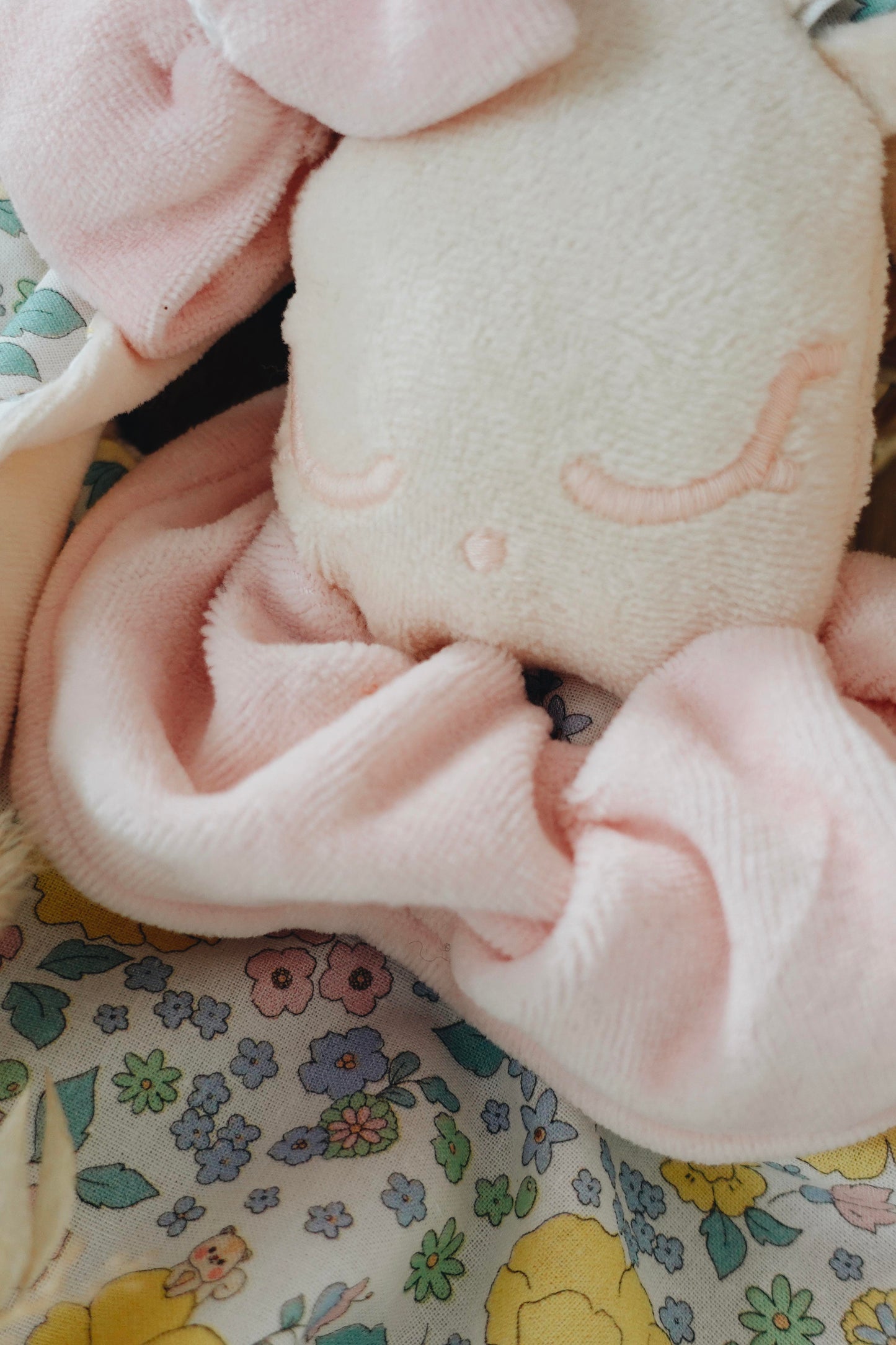 Doudou Velours Chouchou - Kawaii Animals