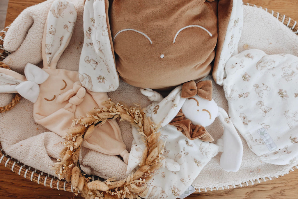 Petit Coussin Velours - Robin