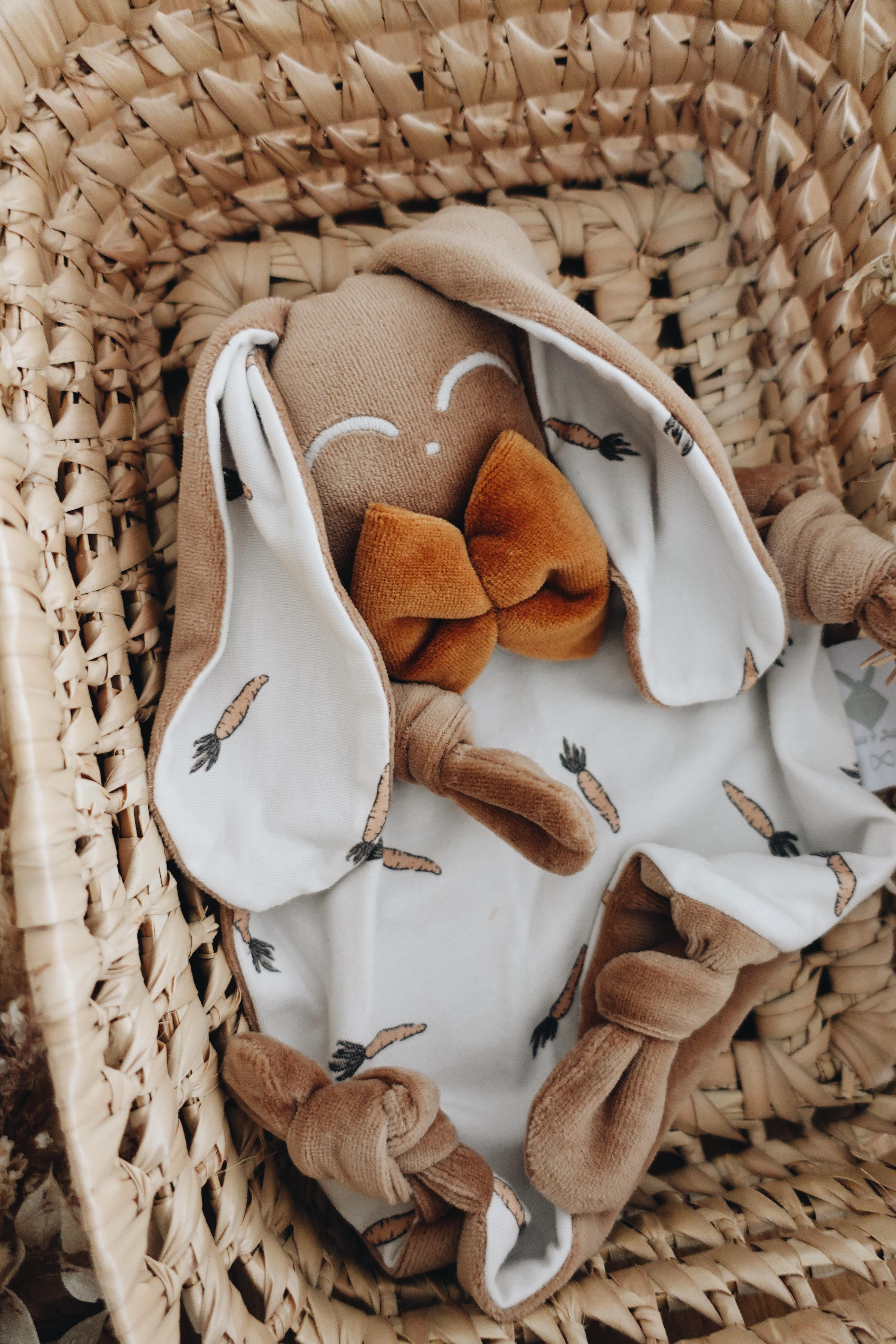 PROTOTYPE - Doudou Velours Chouchou - Carrots