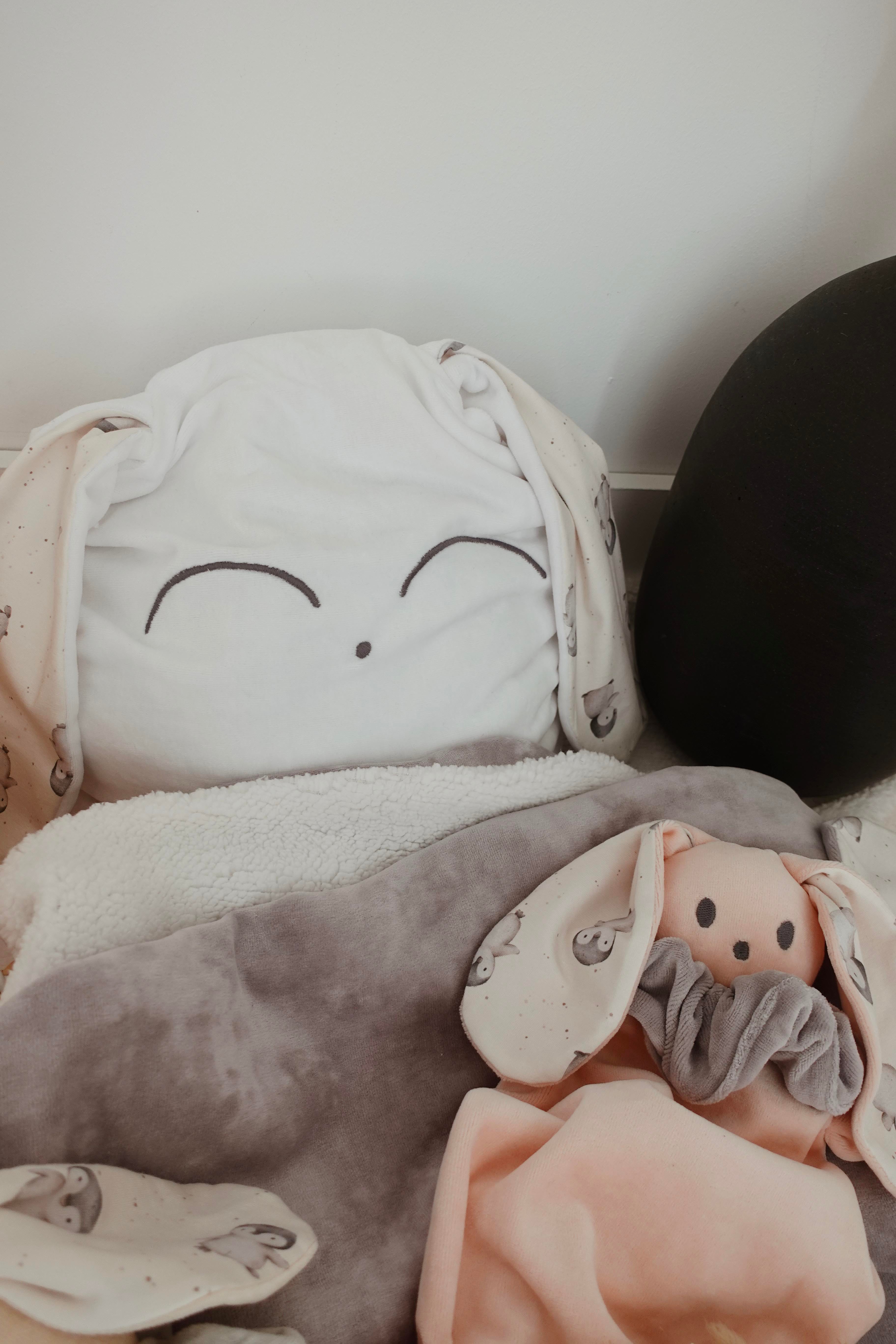 Petit Coussin Velours - Pinguins