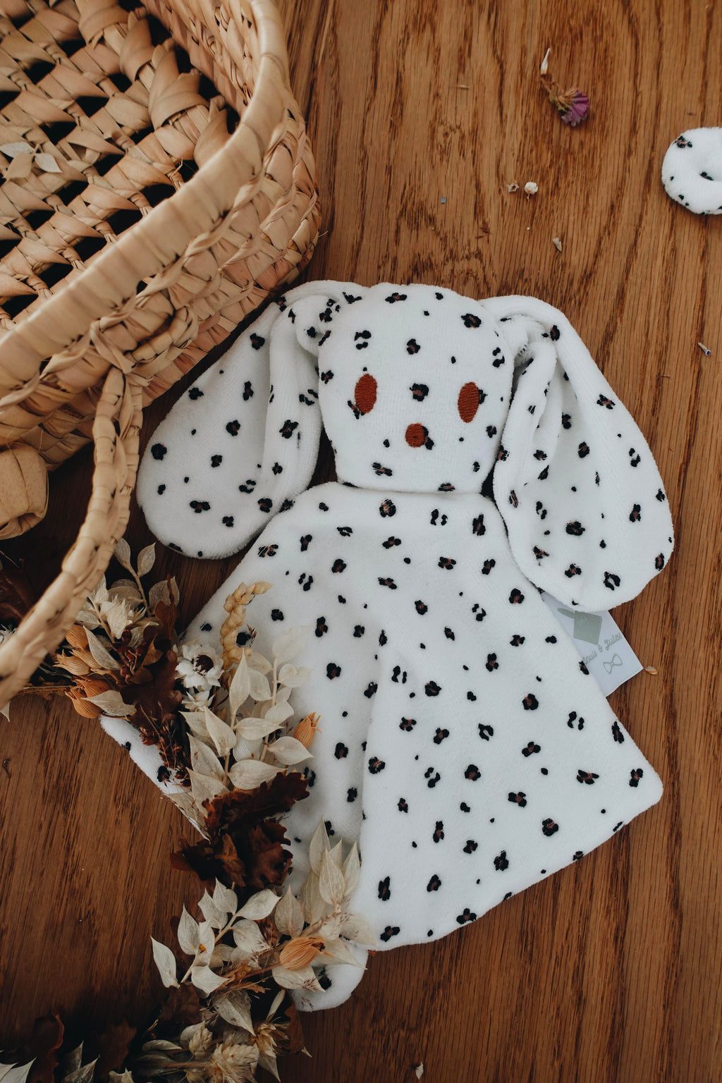 PROTOTYPE - Bébé Doudou Velours - Graou