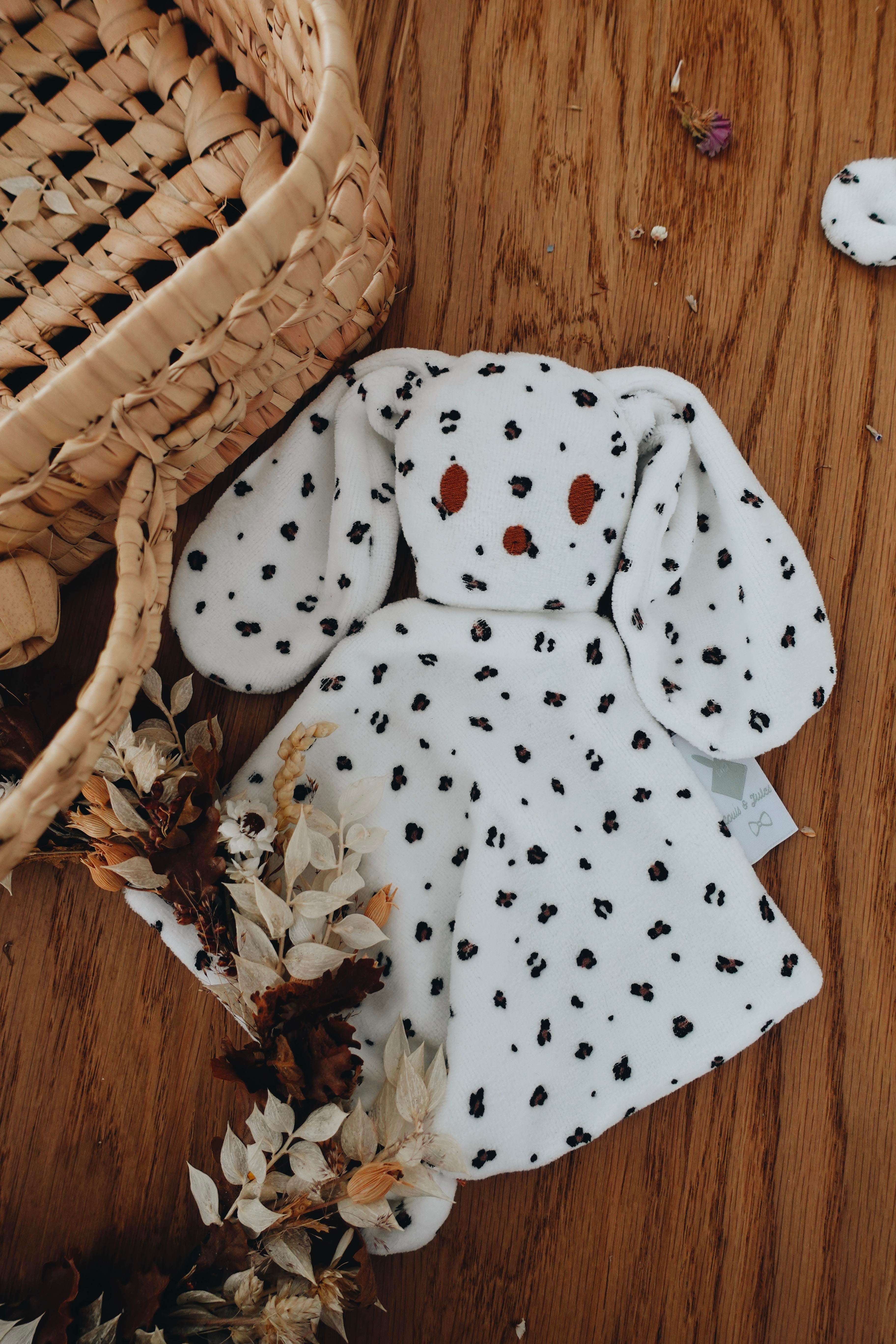 PROTOTYPE - Bébé Doudou Velours - Graou