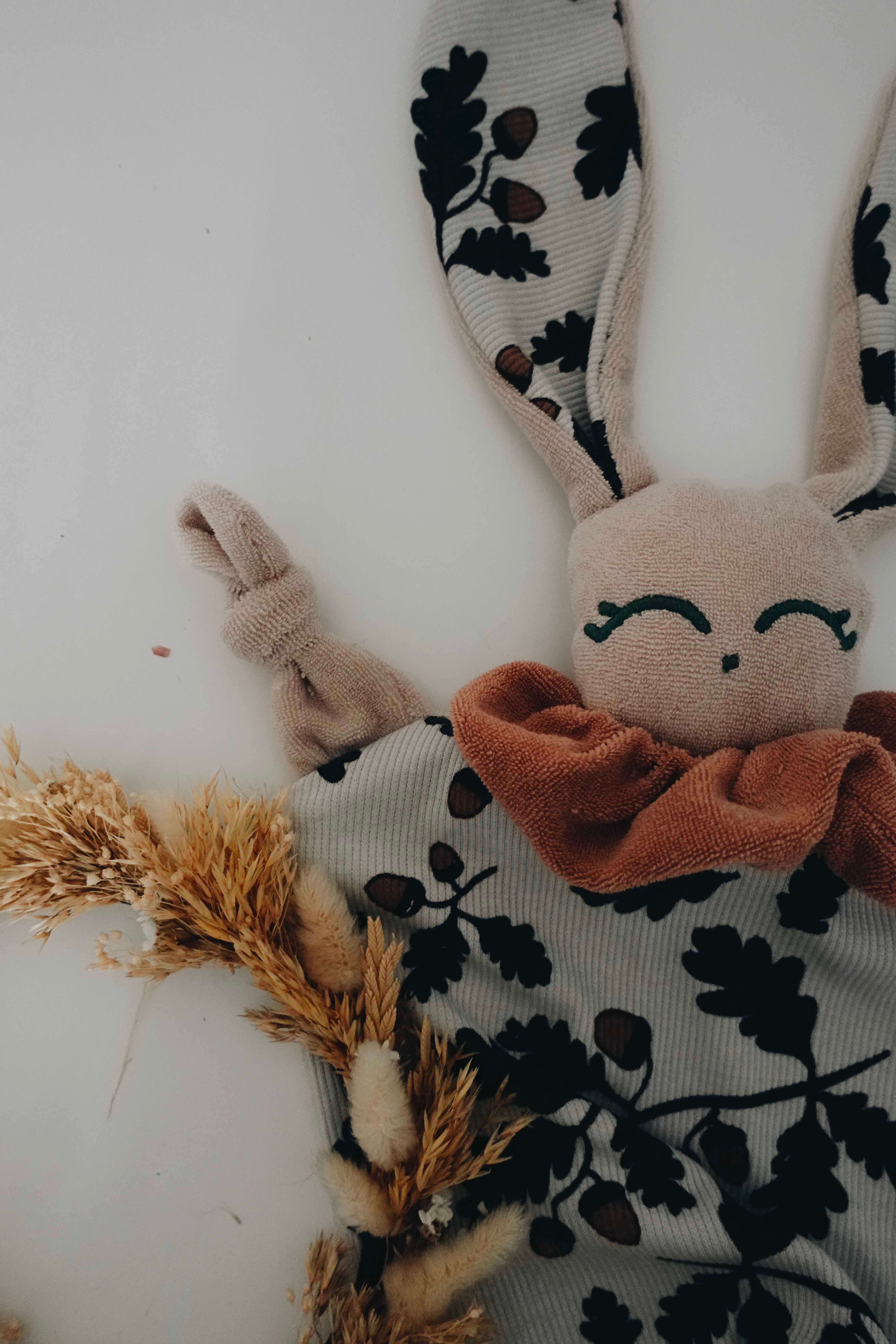 Doudou Eponge Chouchou – Acorns