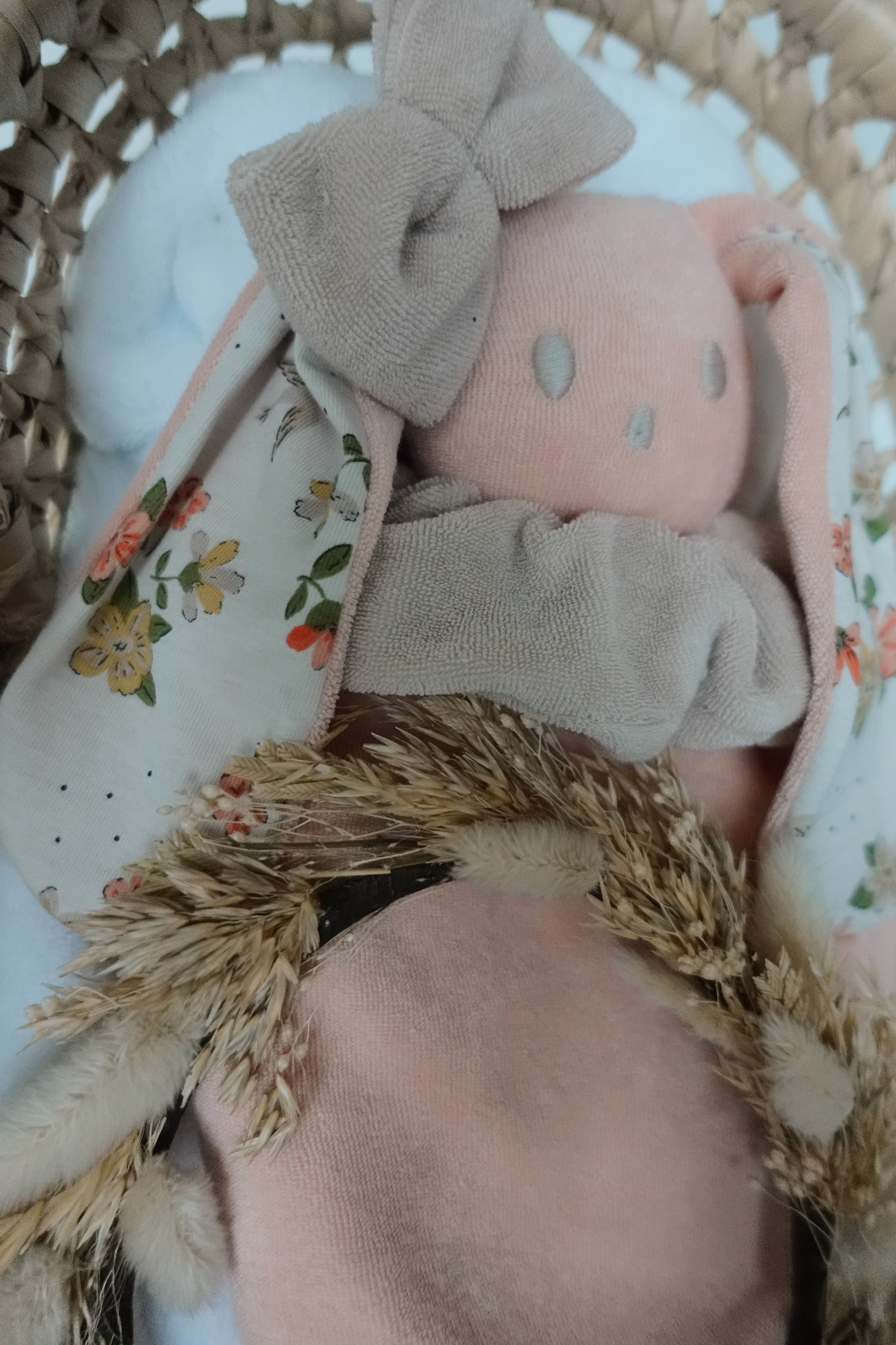 Bouillotte noyaux de cerise Eponge - Oisillons