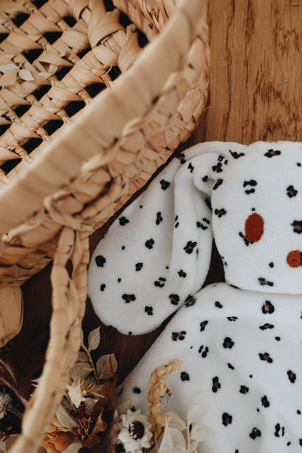 PROTOTYPE - Bébé Doudou Velours - Graou