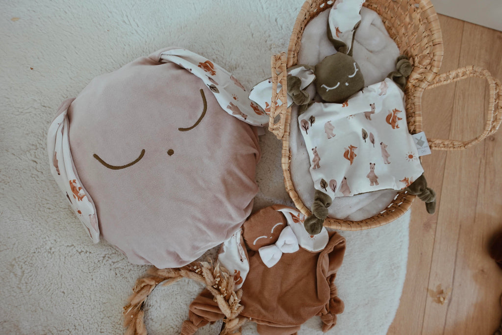 Petit Coussin Velours - Sweet Friends