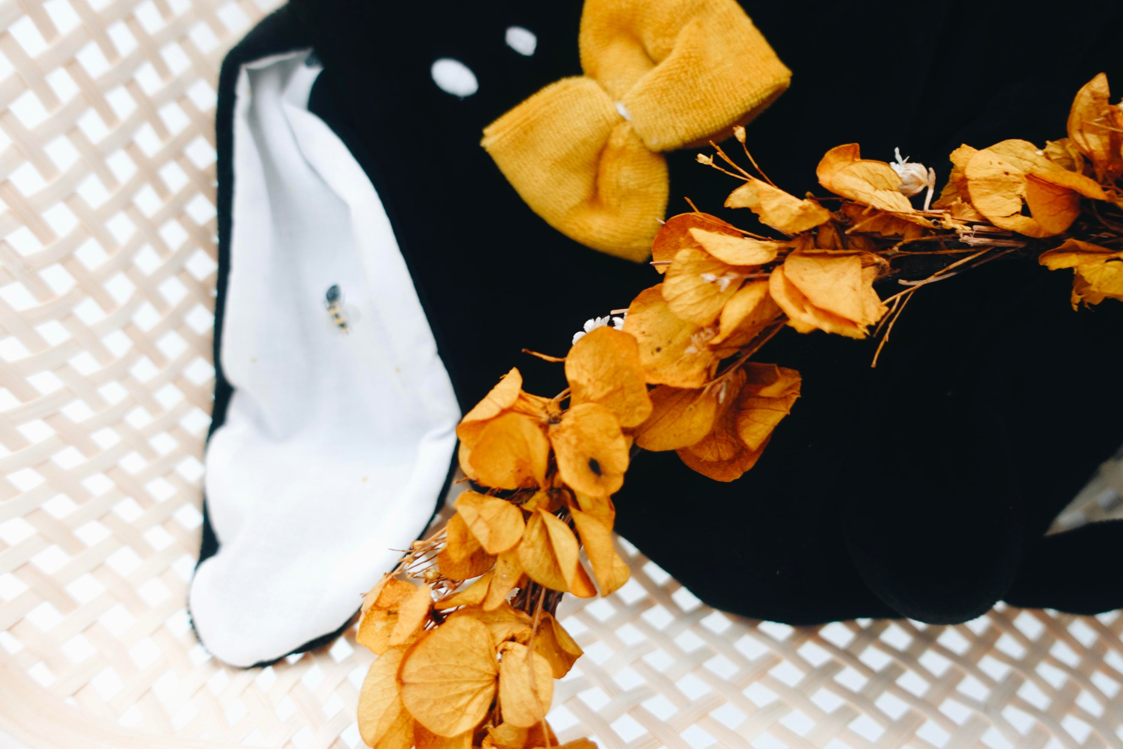 PROTOTYPE - Doudou Velours Classique Noeuds - Abeilles