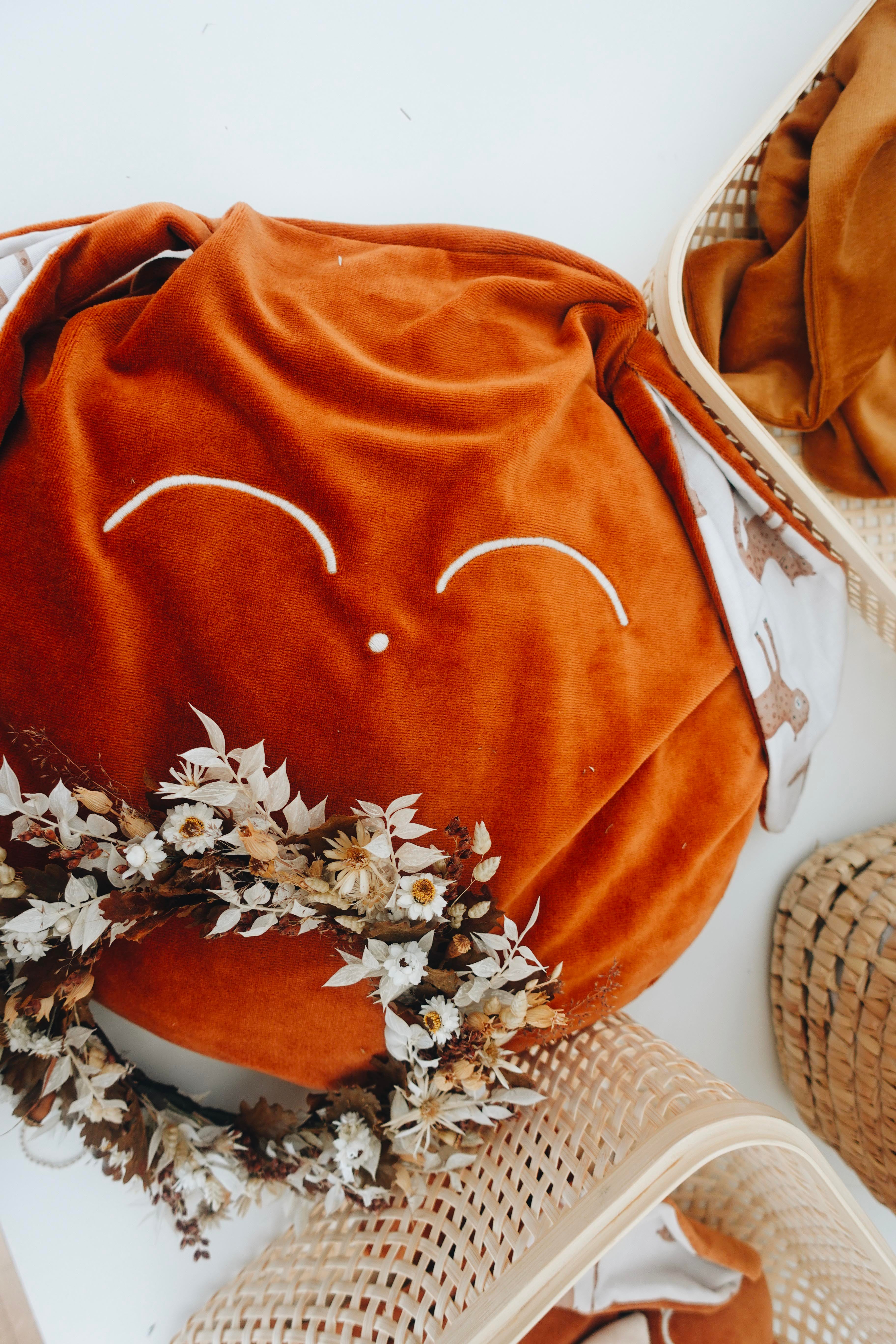 Petit Coussin Velours - Panthère